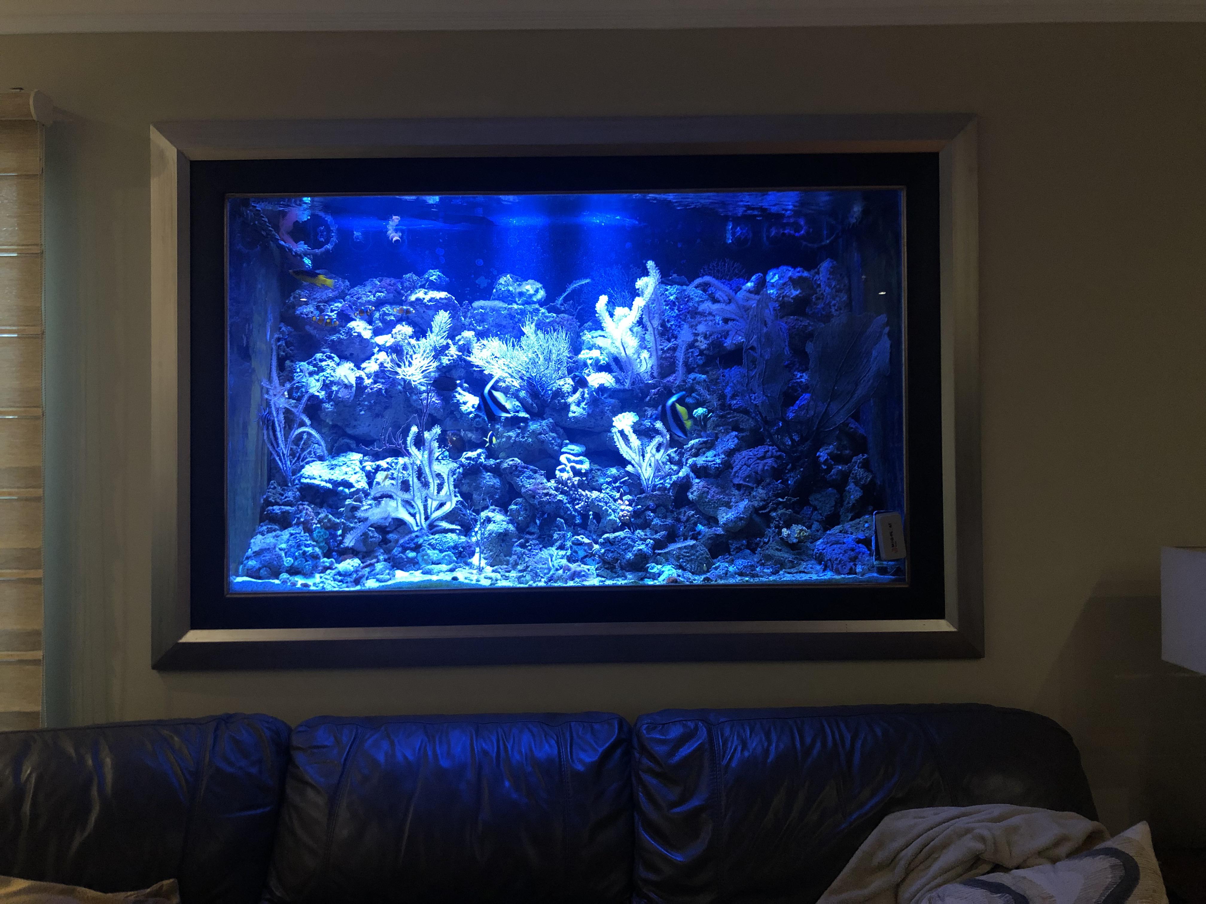 My uncles wall mounted 300 gallon salt water aquarium. r/Aquariums