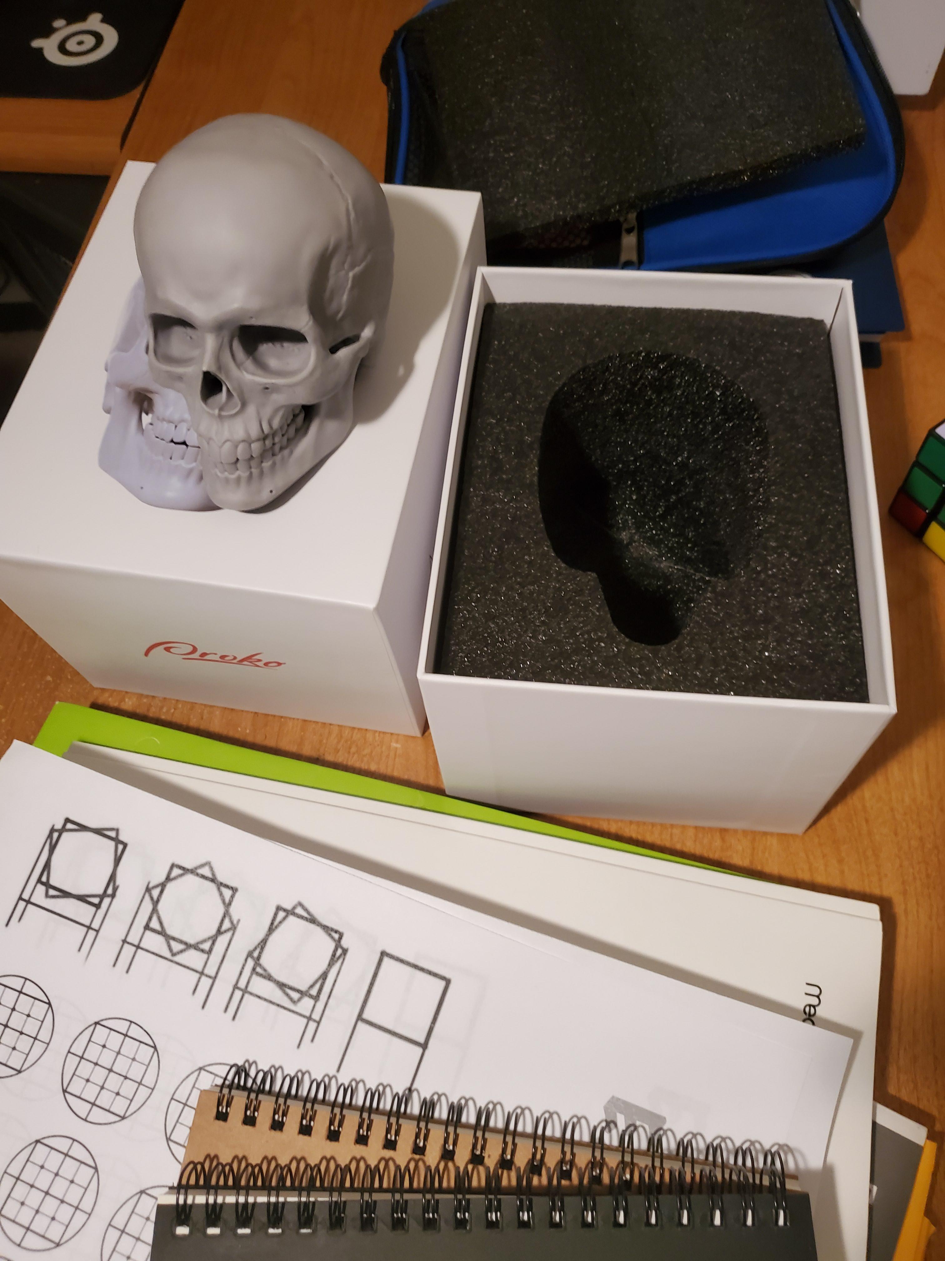 I got the proko skull and I was wondering the best way to study it. My