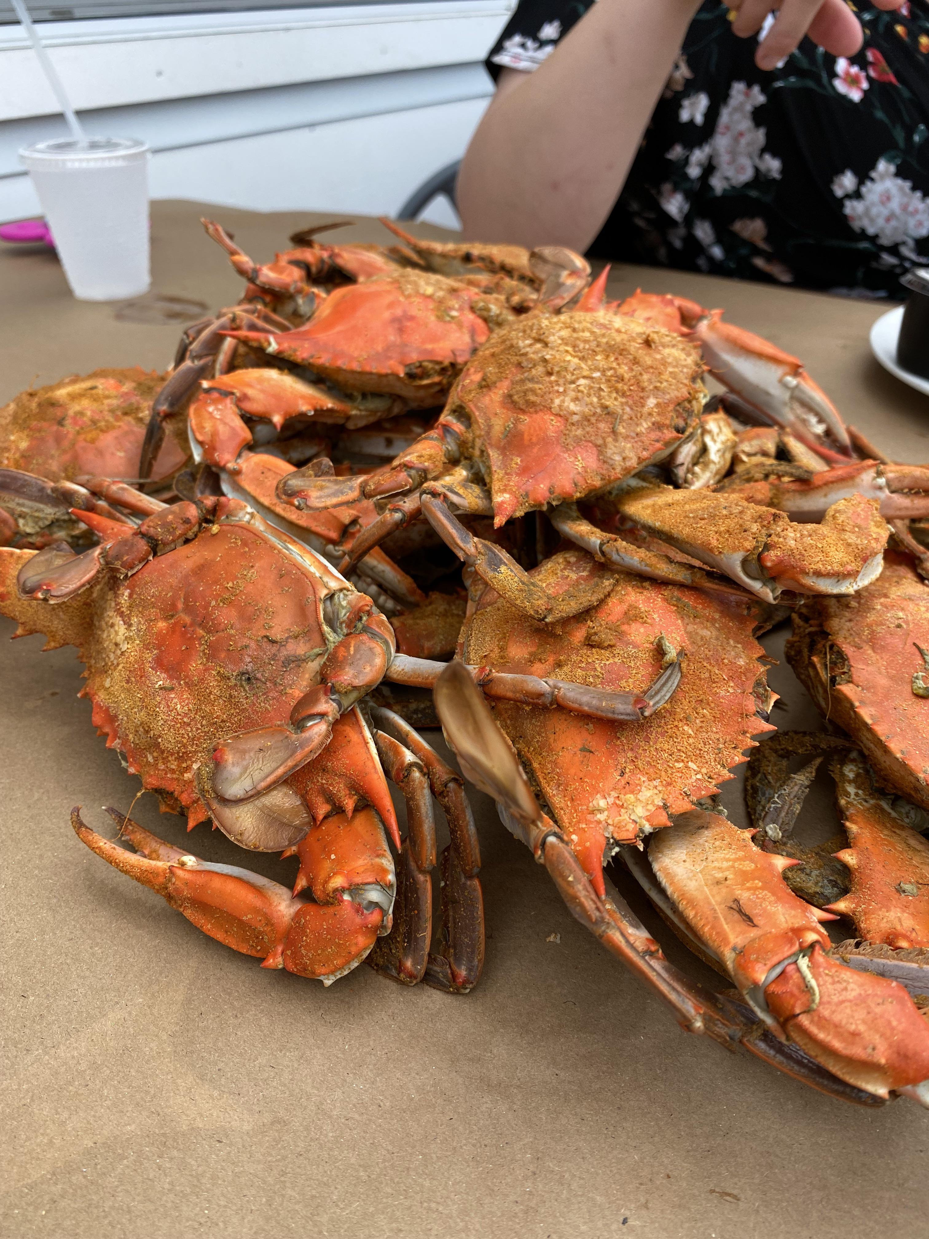 [I ate] Fresh Maryland blue crabs r/food