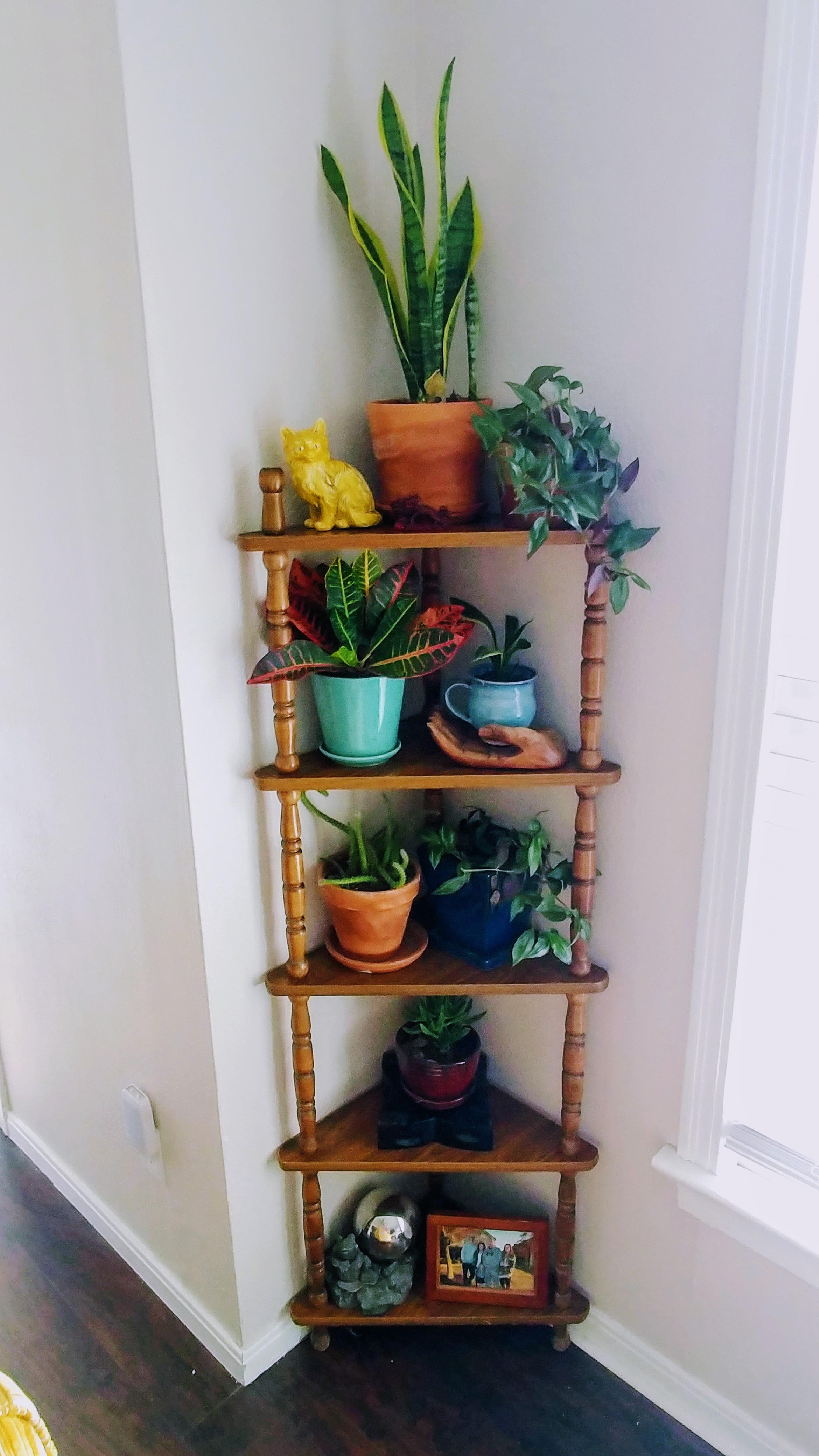 Randomly found that perfect corner shelf I've been wanting for my