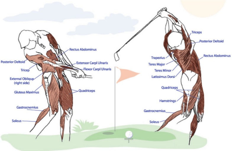 All golfers need a combination of flexibility, strength/stability r/golf