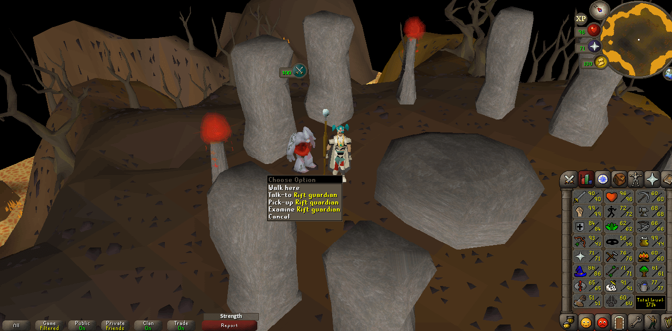 rift guardian pet 65 rc lavas r/2007scape