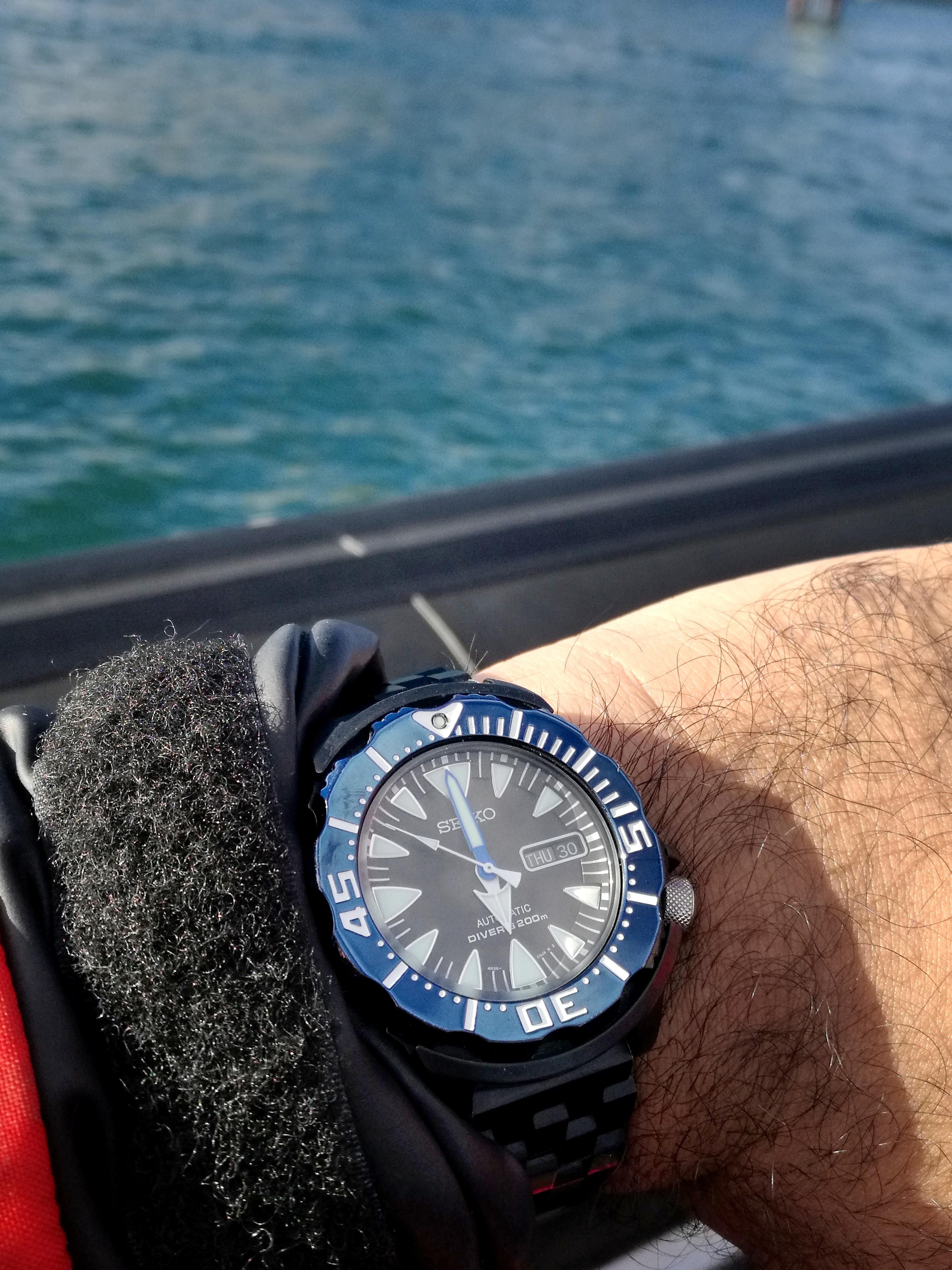 [Seiko] The perfect watch for whale watching r/Watches