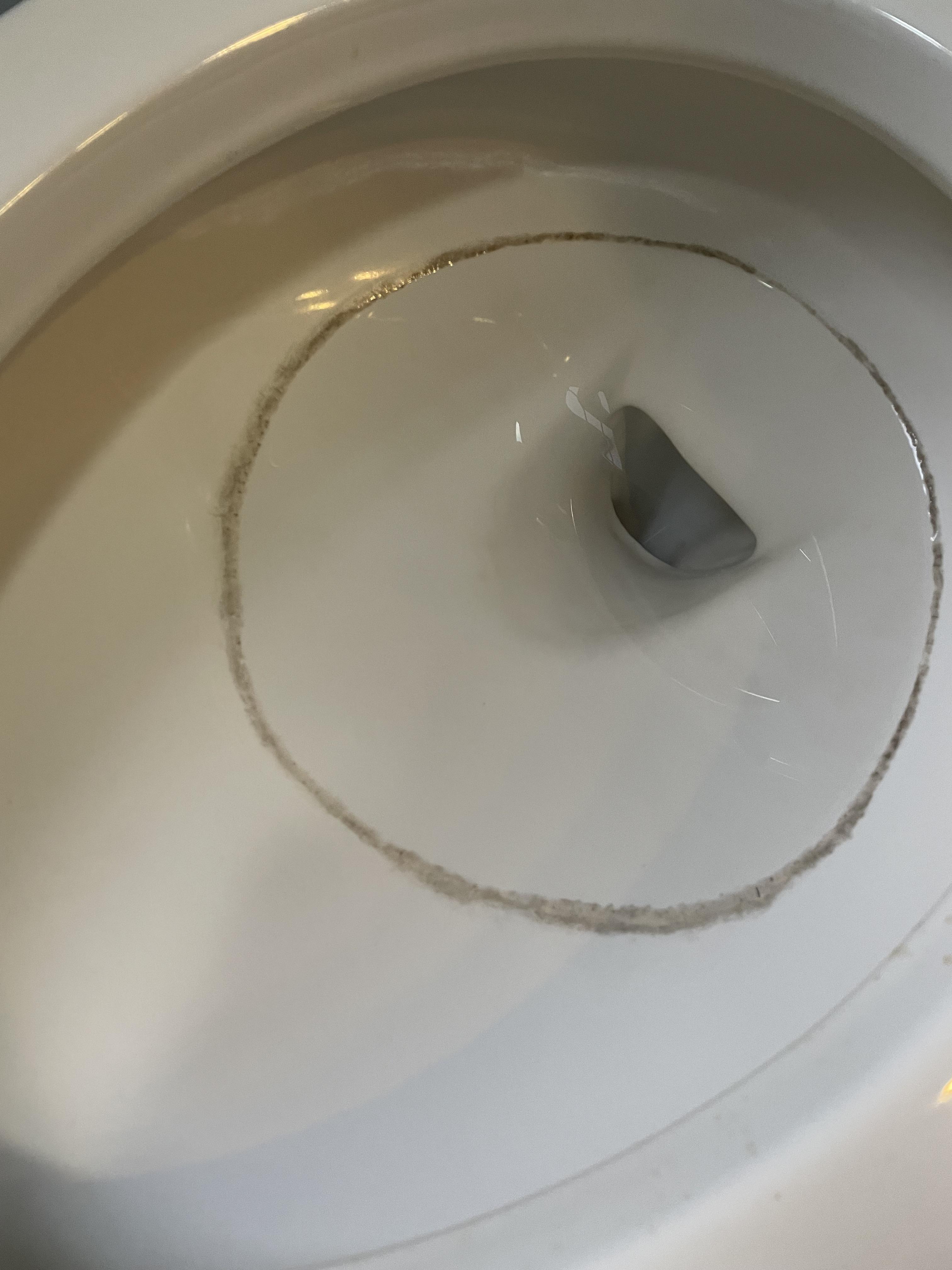 Weird filth ring in toilet bowl at water line. Toilet not even being