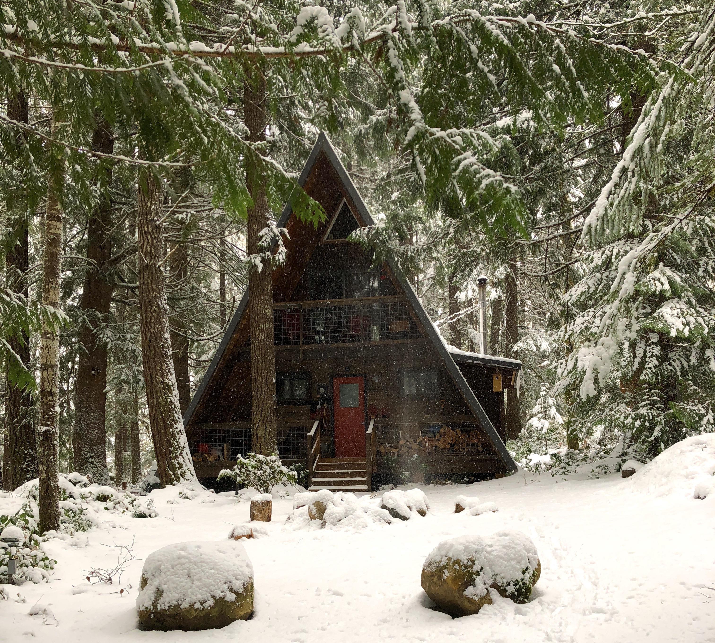 Cozy cabin in Packwood Washington r/CozyPlaces