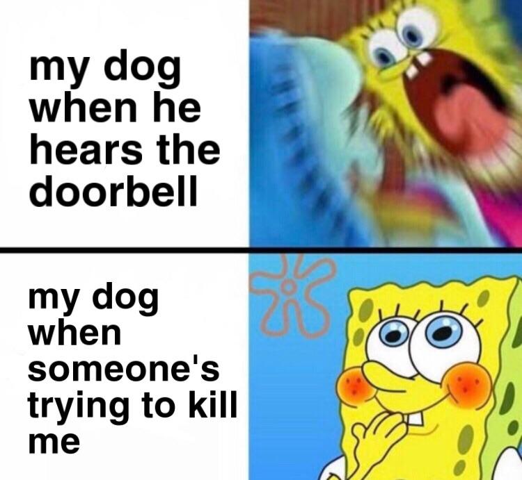 still love him though r/memes