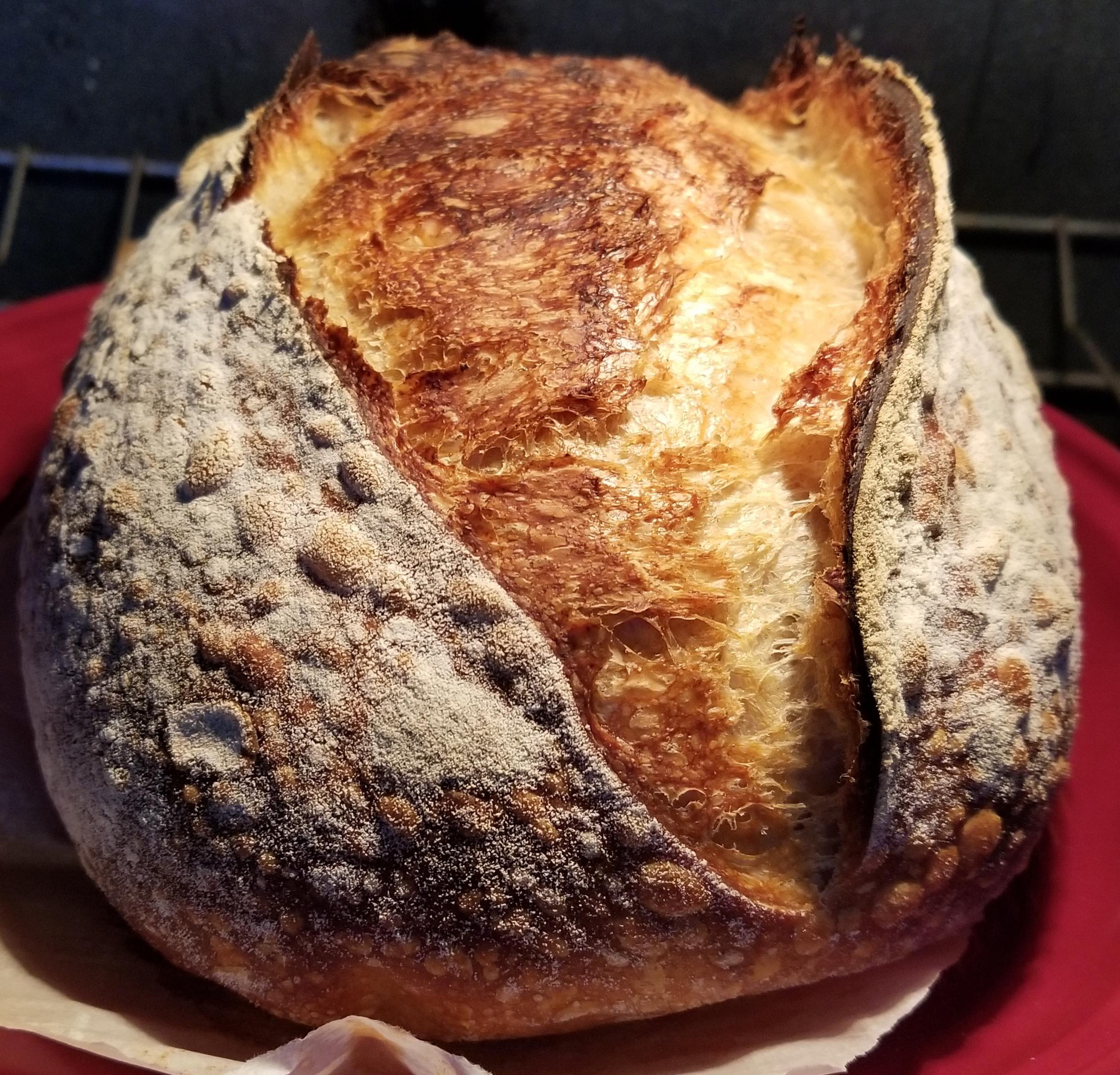 Cheers Big Ears! r/Sourdough