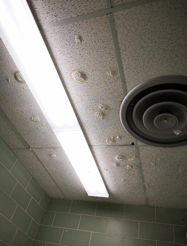 Throwing wads of wet toilet paper at the ceiling in the school bathroom r/nostalgia