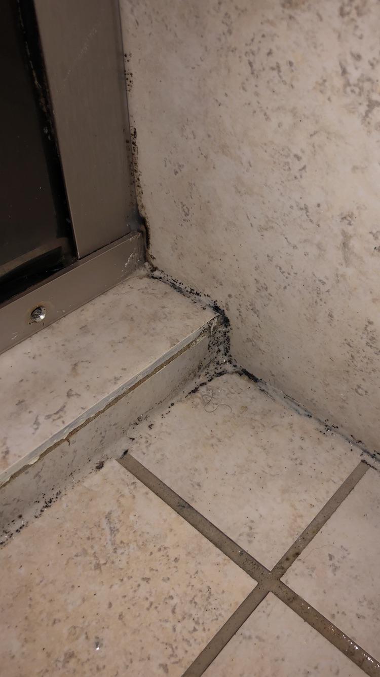 Anyone have advice on how to clean this in a shower? Not sure if it’s