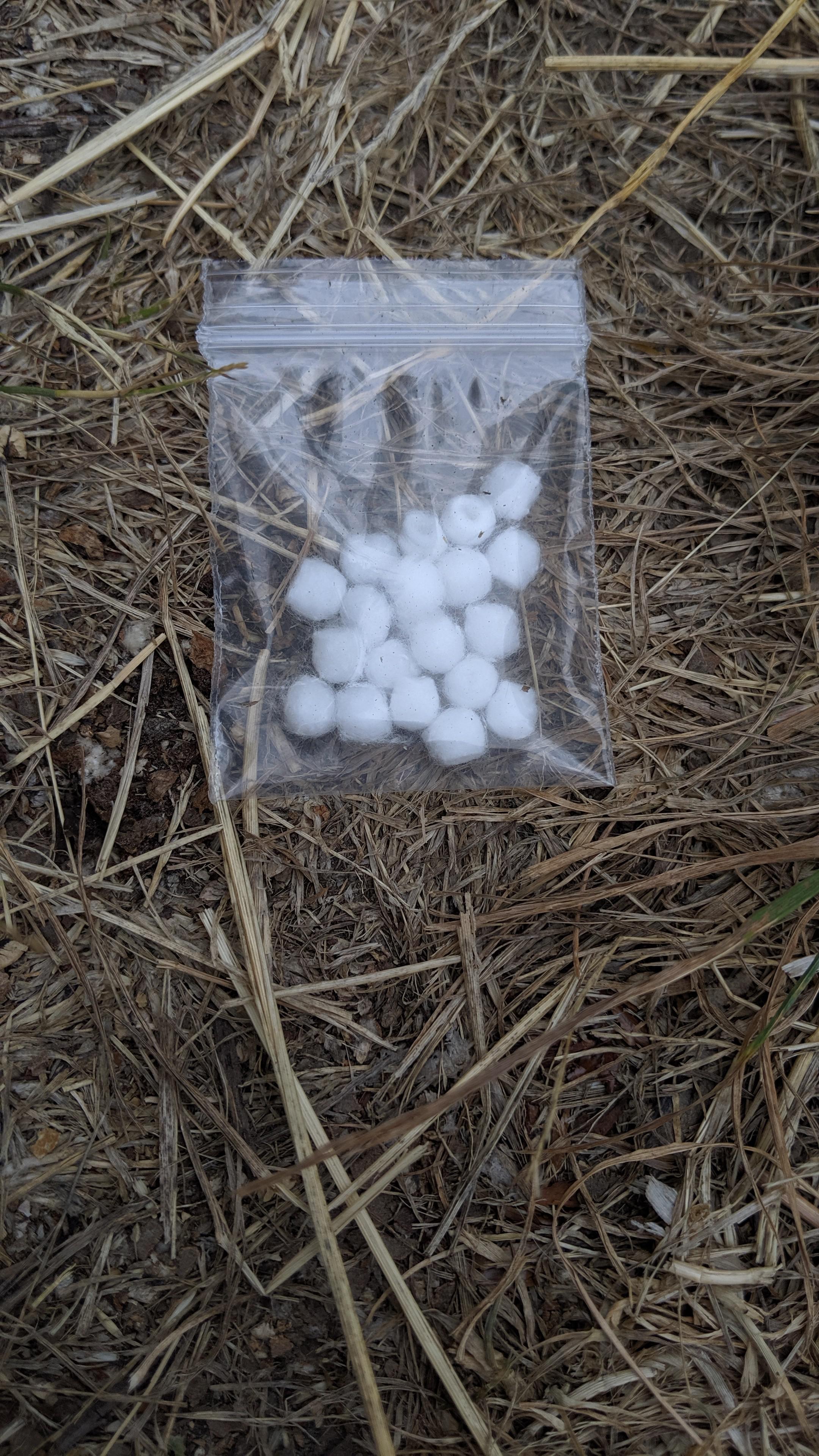 Tiny Cotton Balls? r/whatisthisthing