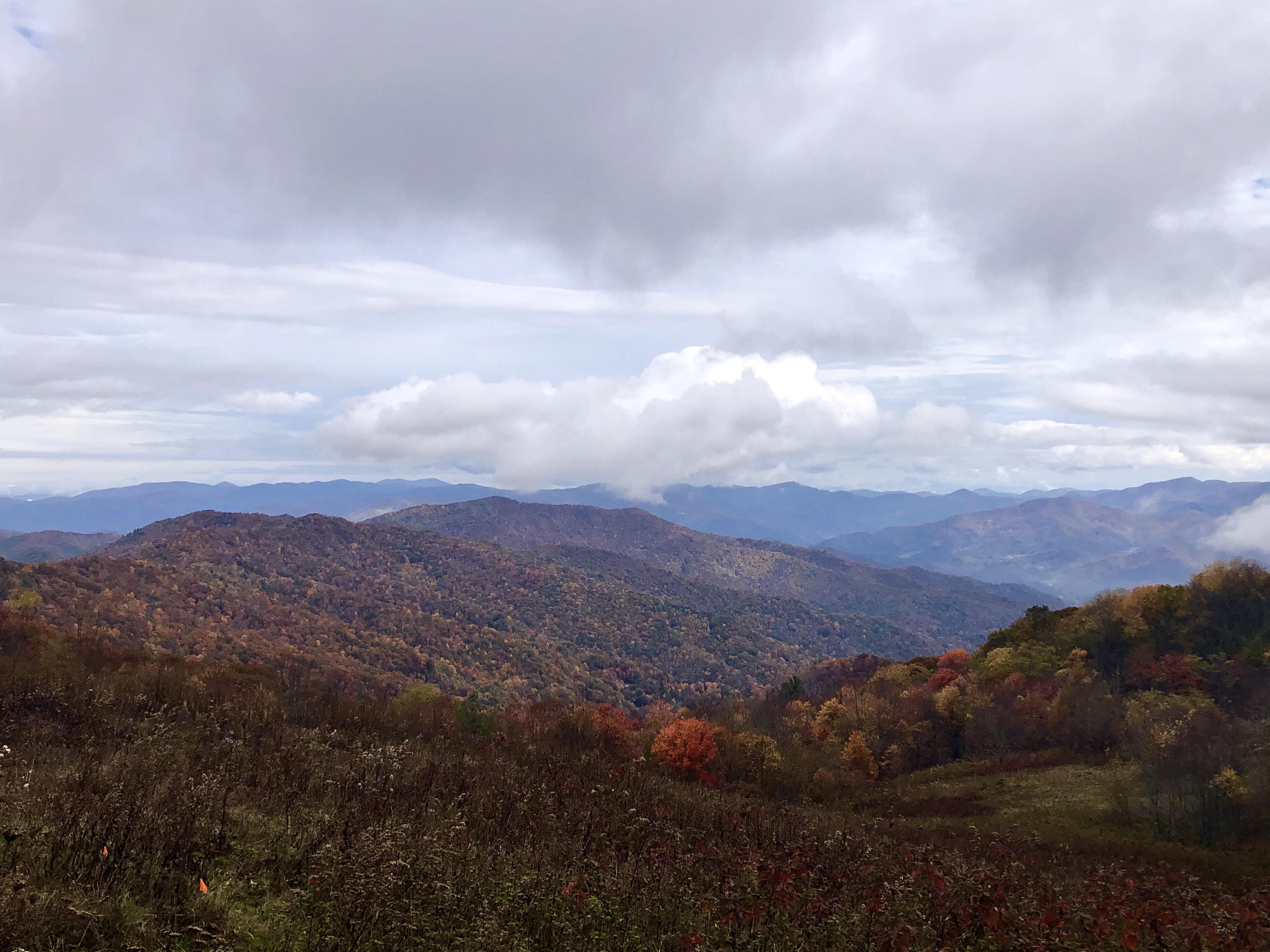 Hemphill Road Trail, Great Smoky Mountains, NC, USA r/hiking