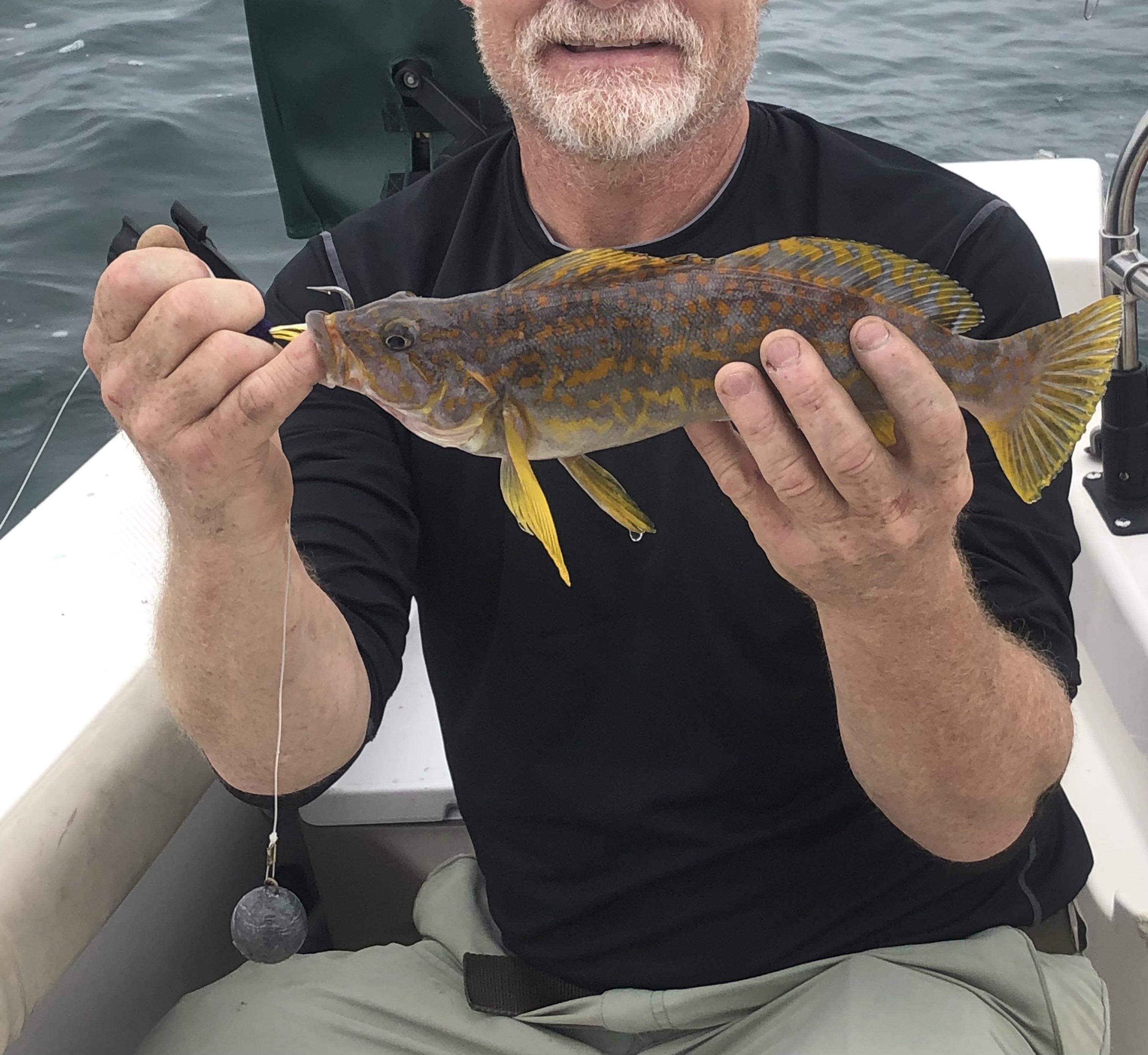 Caught Off Oregon coast, USA. 50 feet of water, near the bottom. My