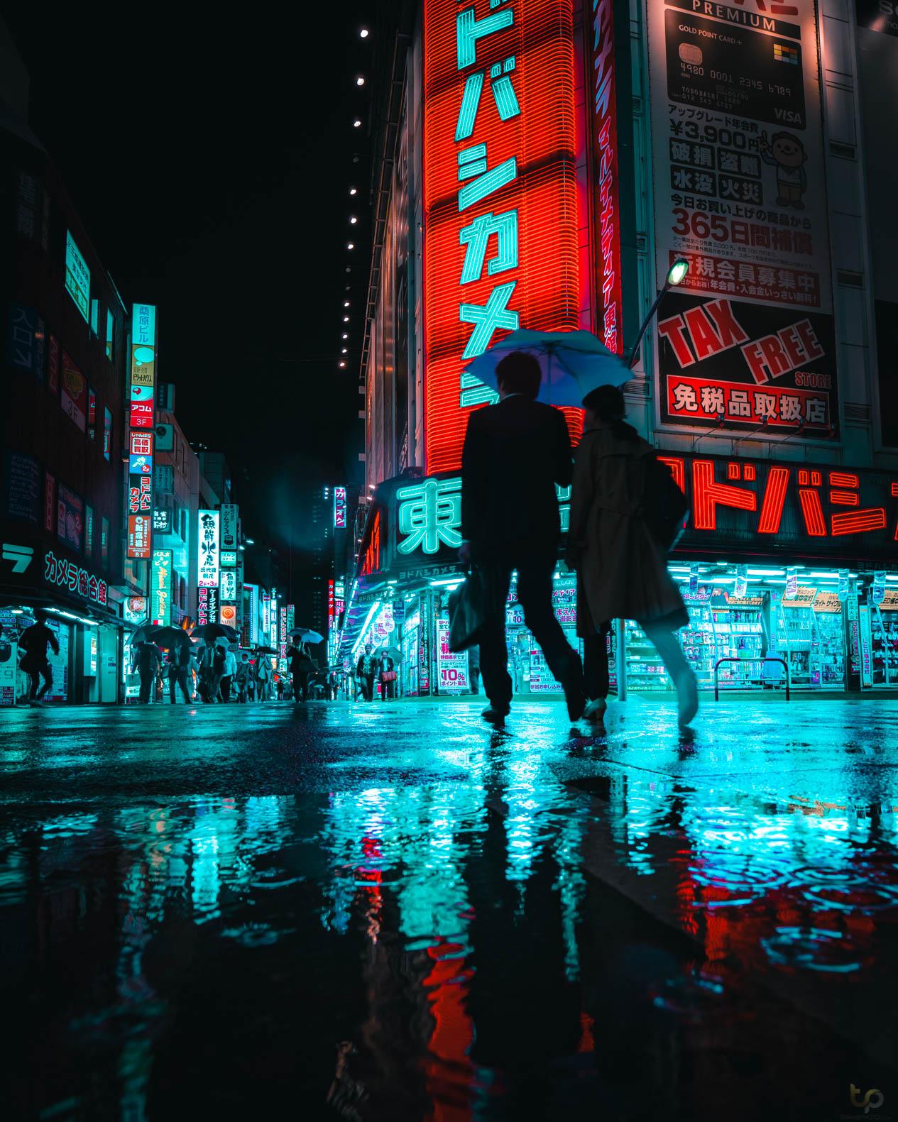 Take me back to Tokyo r/BeAmazed
