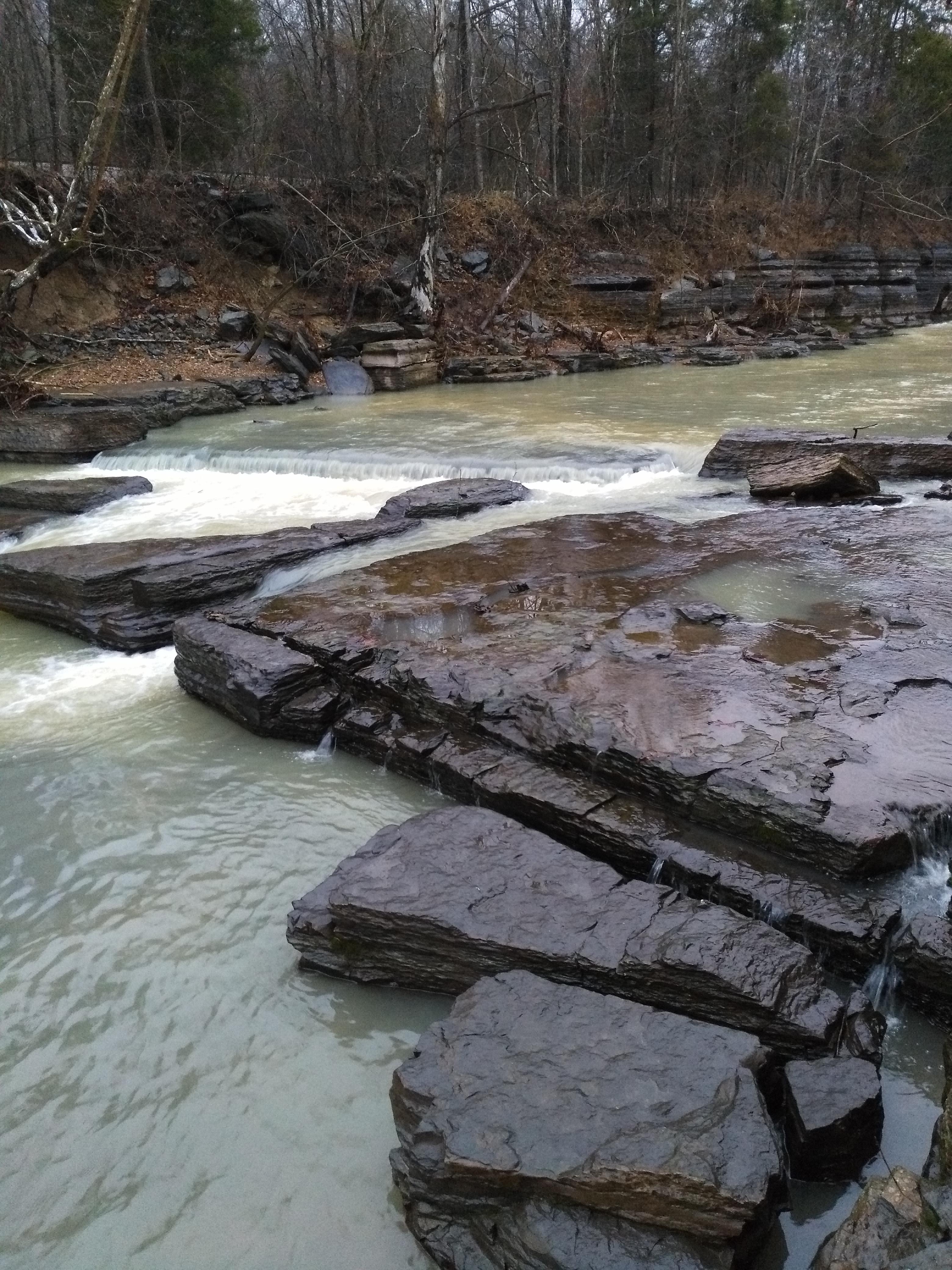 Trace Creek in New Johnsonville, TN gushing with water this morning
