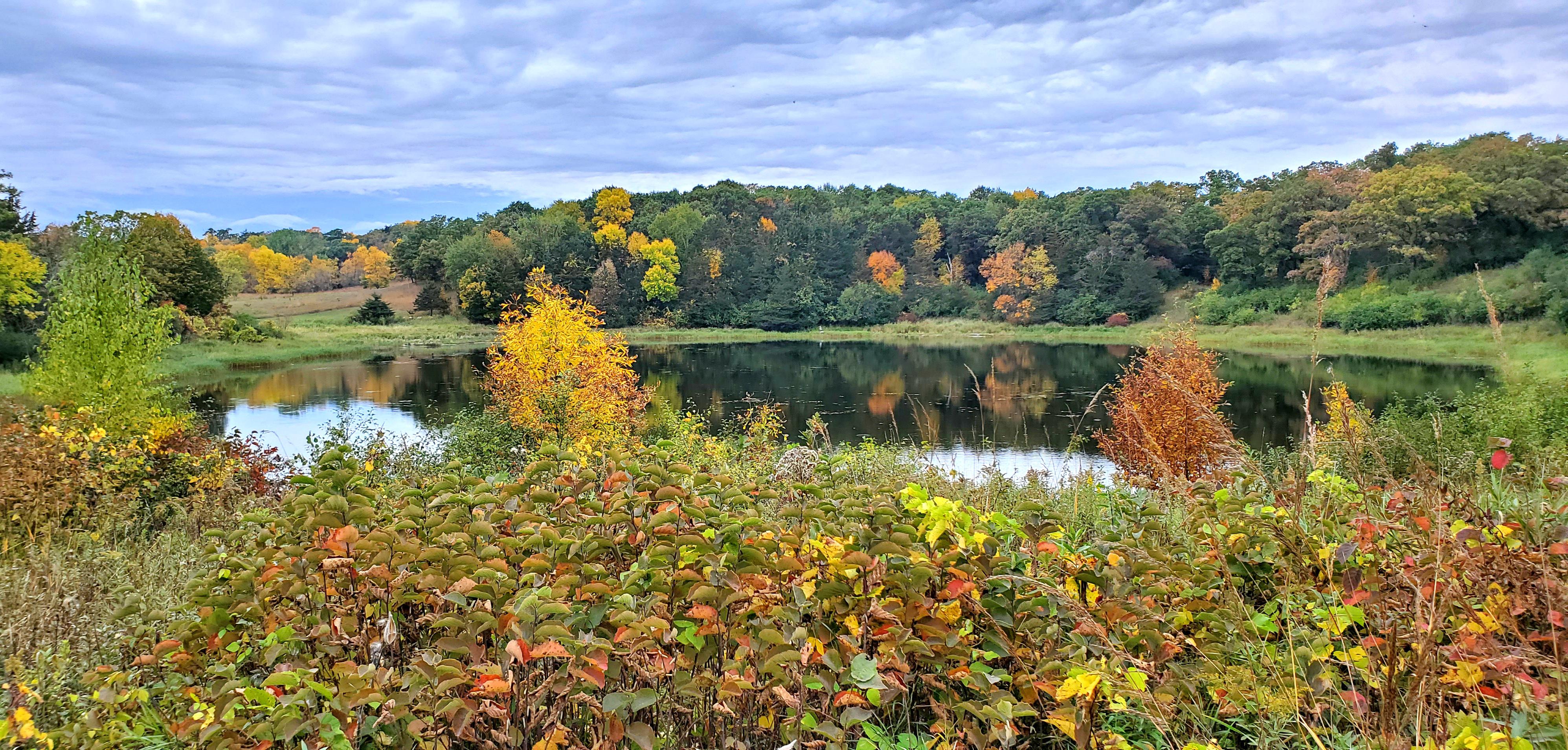 Sibley State Park r/minnesota