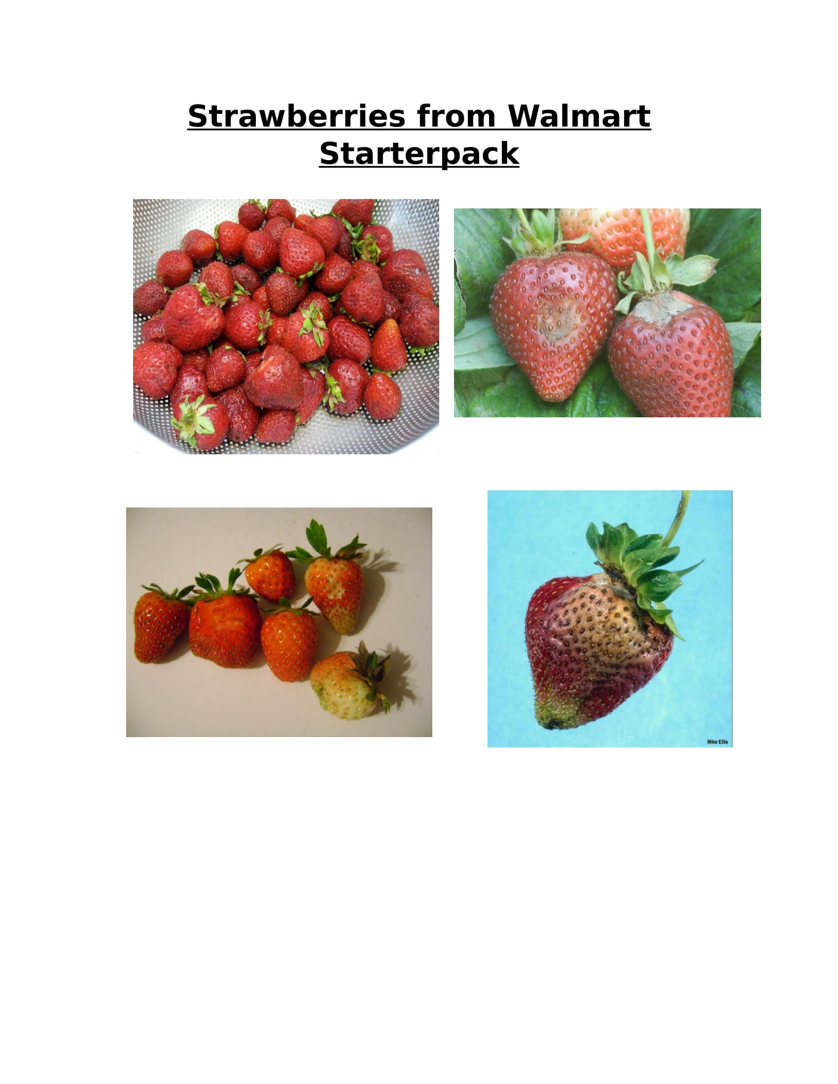 Strawberries from Walmart Starterpack r/starterpacks