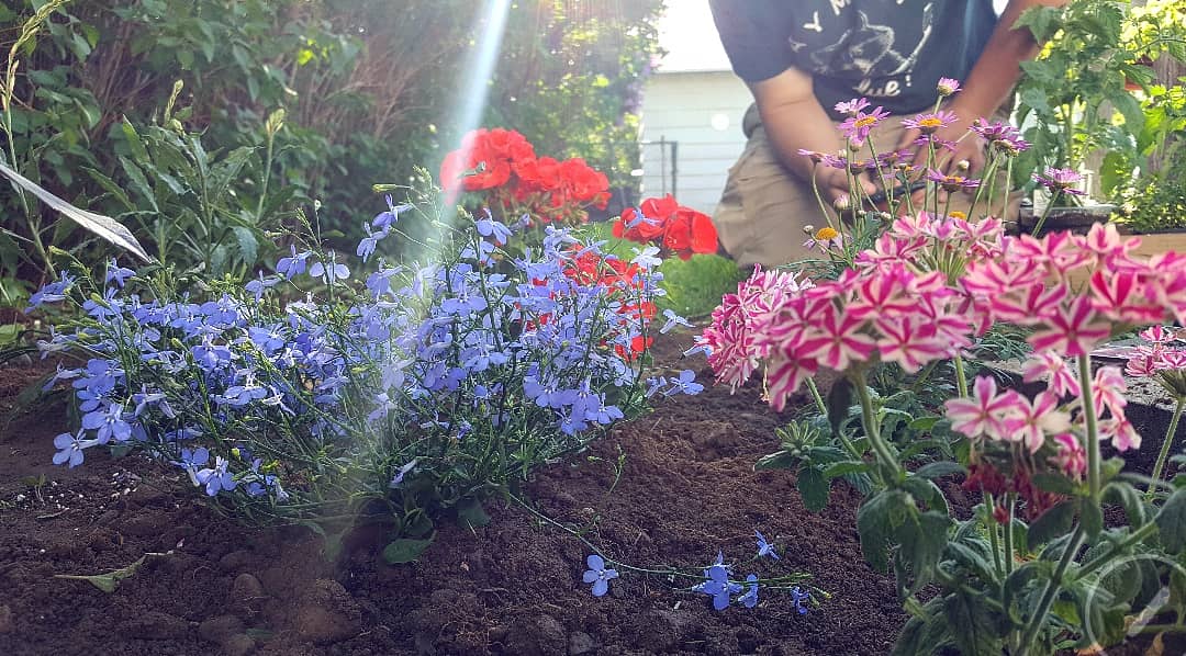 My husband and I just bought a house. It is so nice to be able to plant