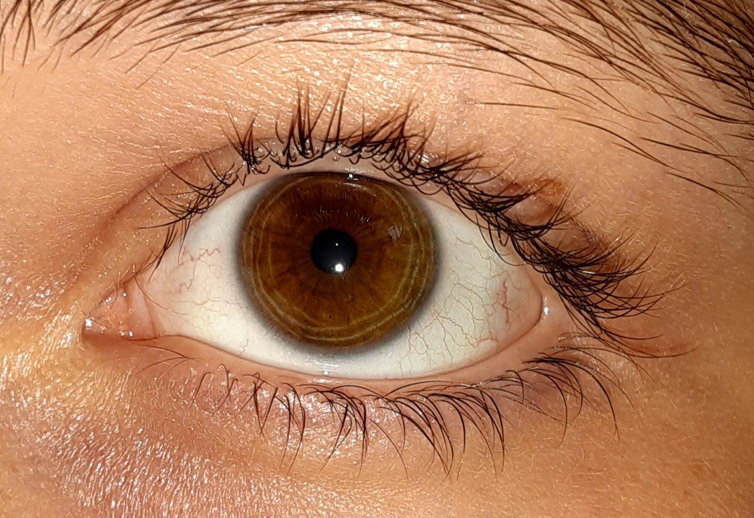 Though sunlight always looks nicer I think using a flashlight worked