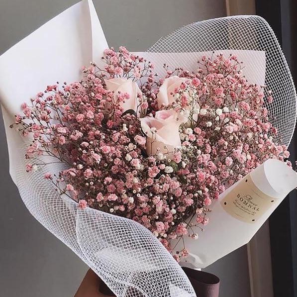 331 best r/lahore images on Pholder Economical flower shops?