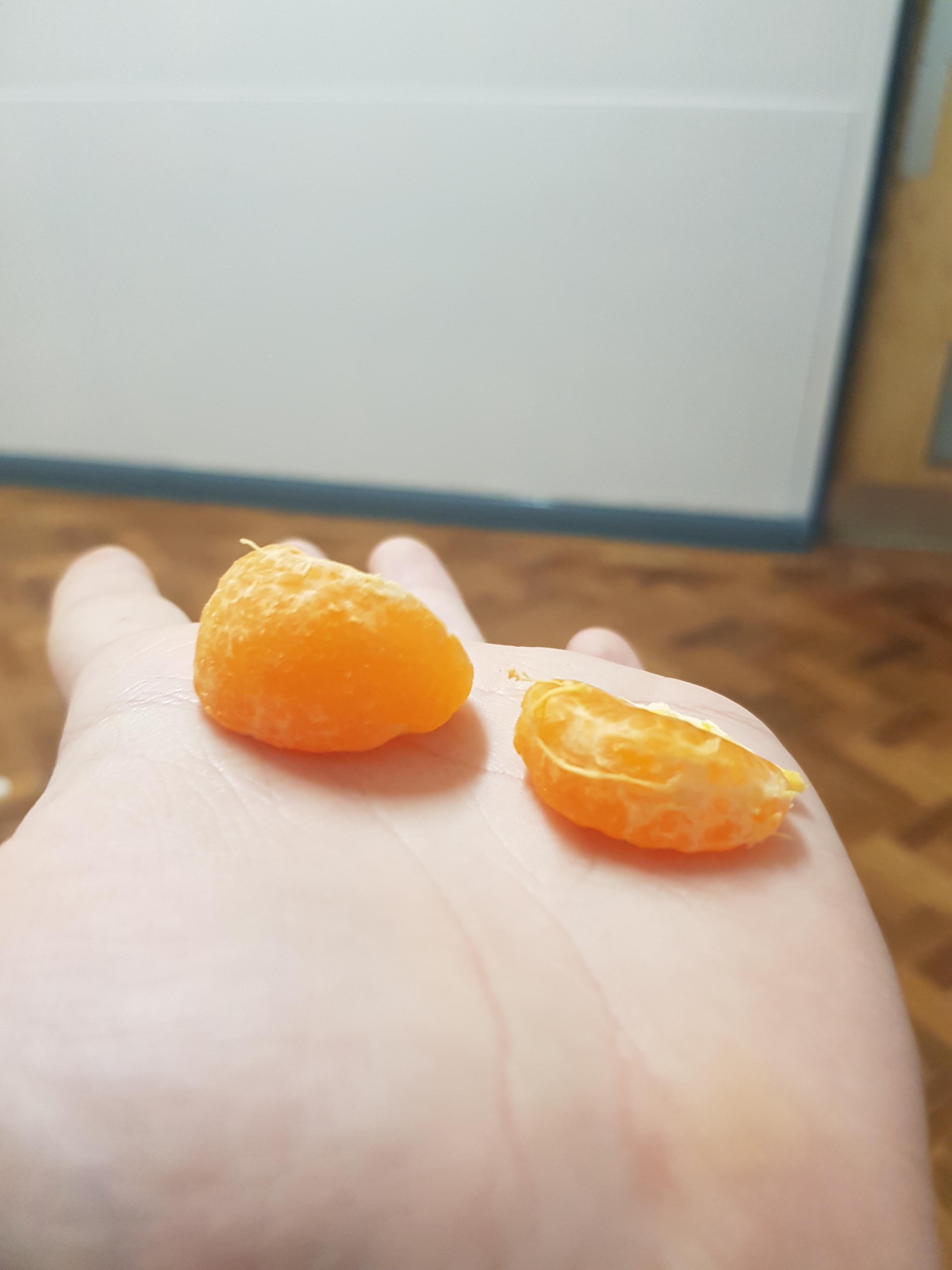 Absolute chonk of a satsuma segment r/AbsoluteUnits