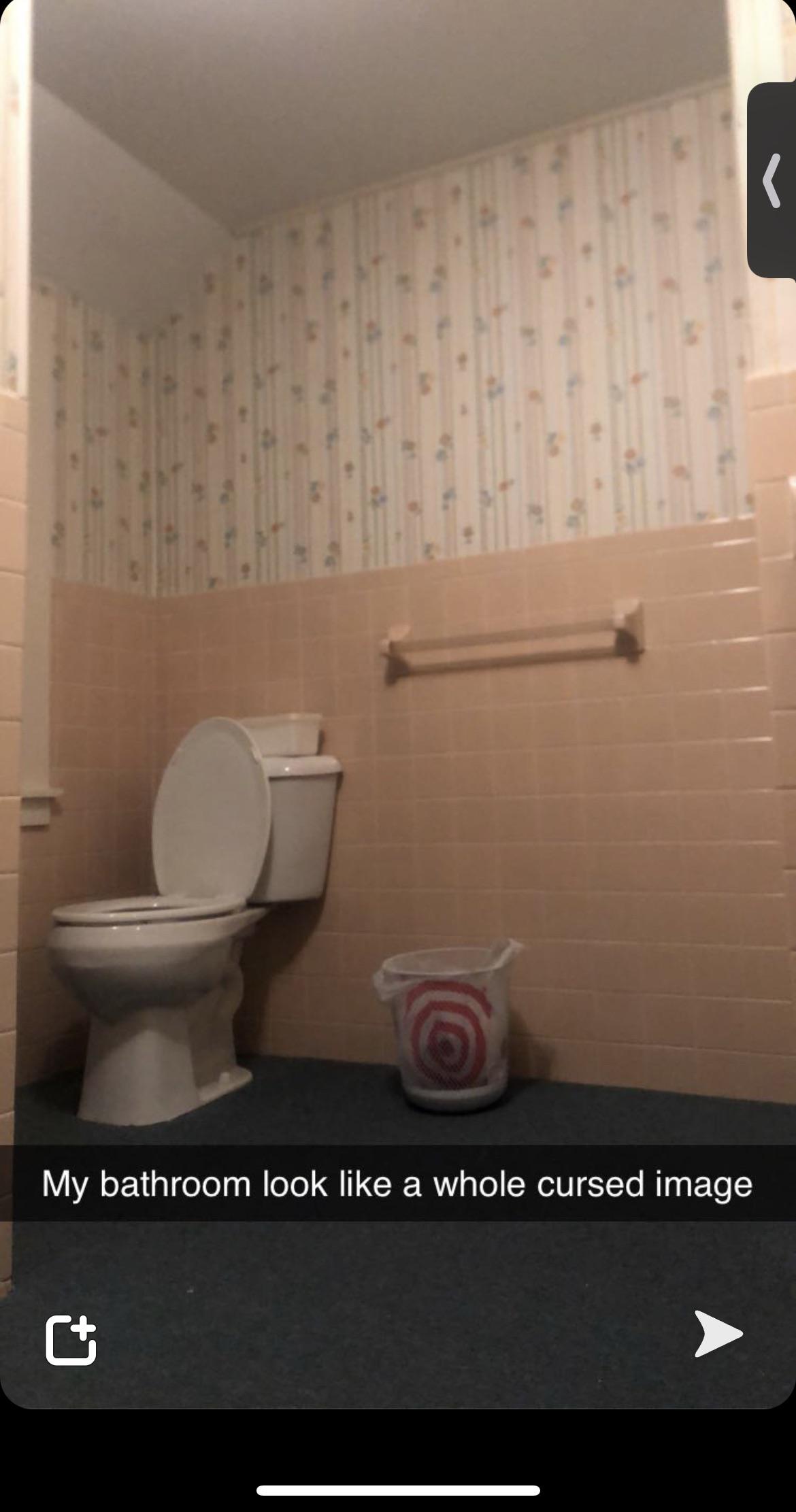 Take a look at my carpeted bathroom before it was renovated, smelled