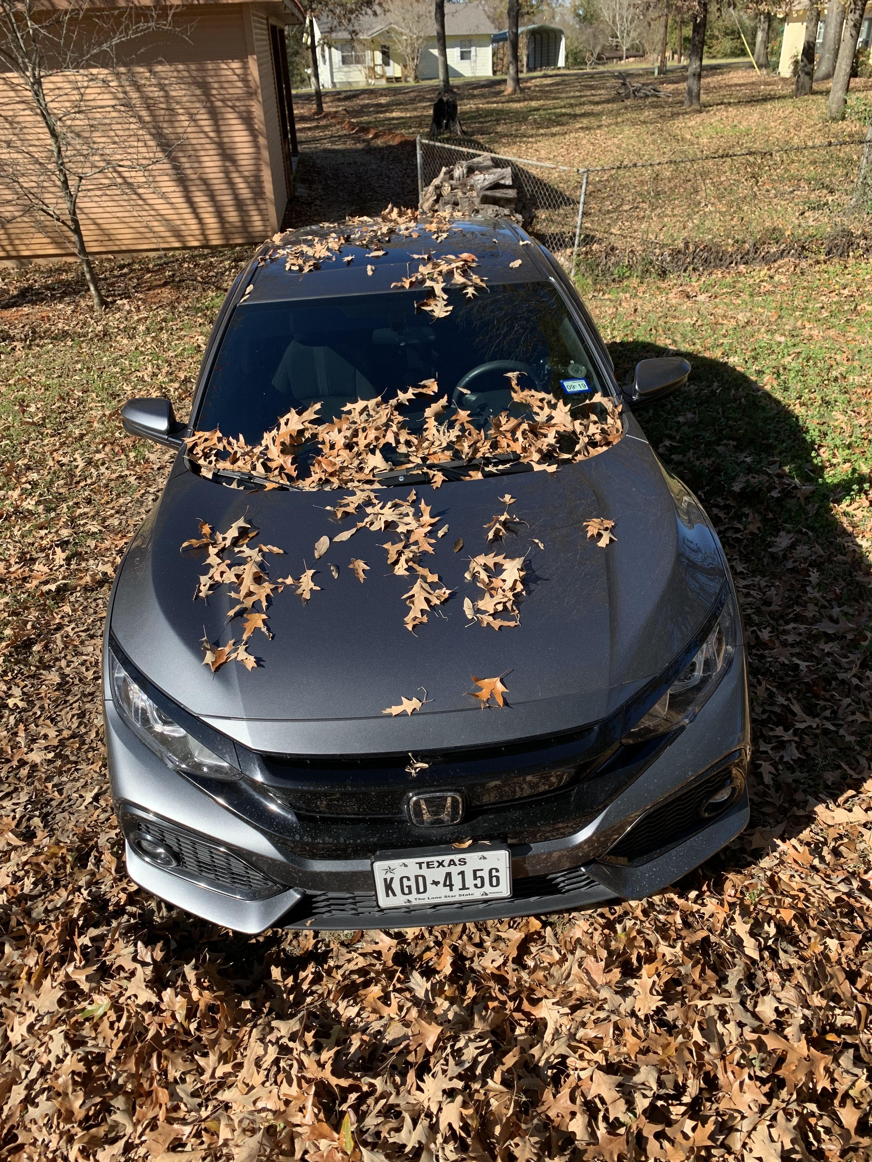 *New to Reddit* Hey guys. I hope y'all are as obsessed with my car as I