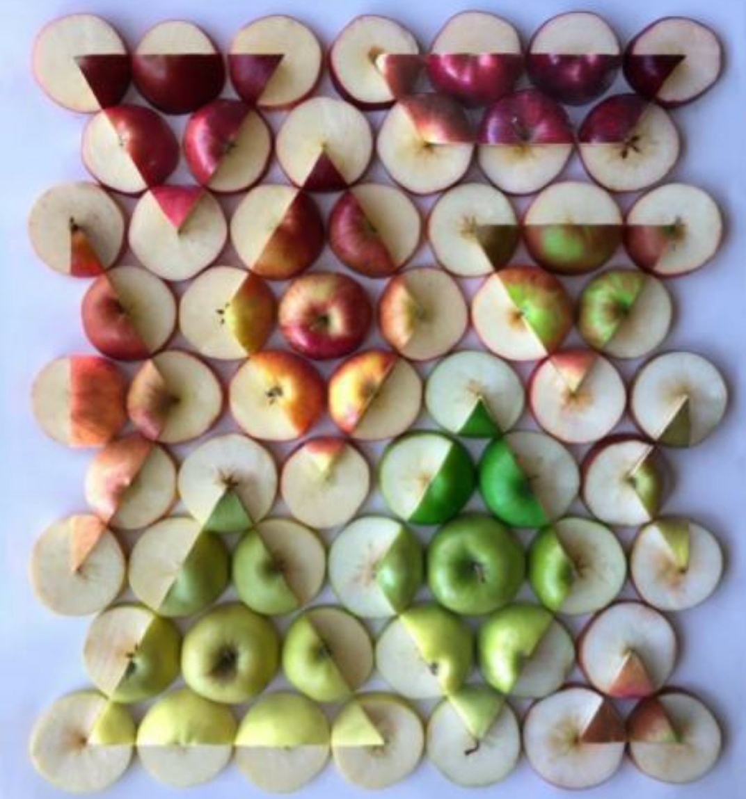 Fruit art r/pics