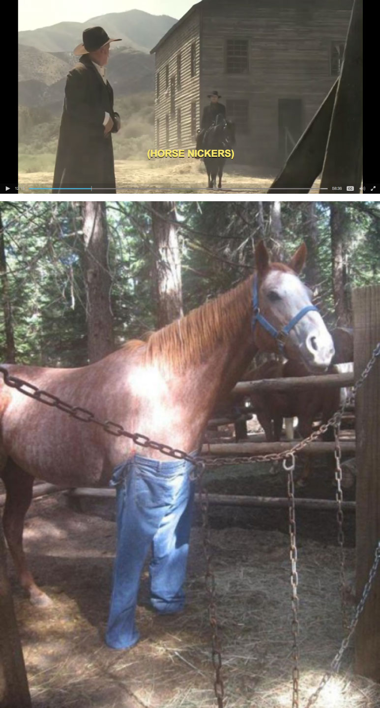 (Horse Nickers) r/Hostworld