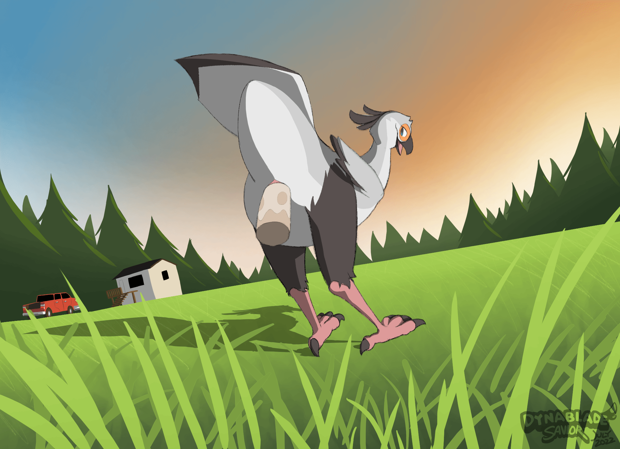 🐓 Bird appreciation post 🕊️(Dynablade savior) : Feral_Yiff