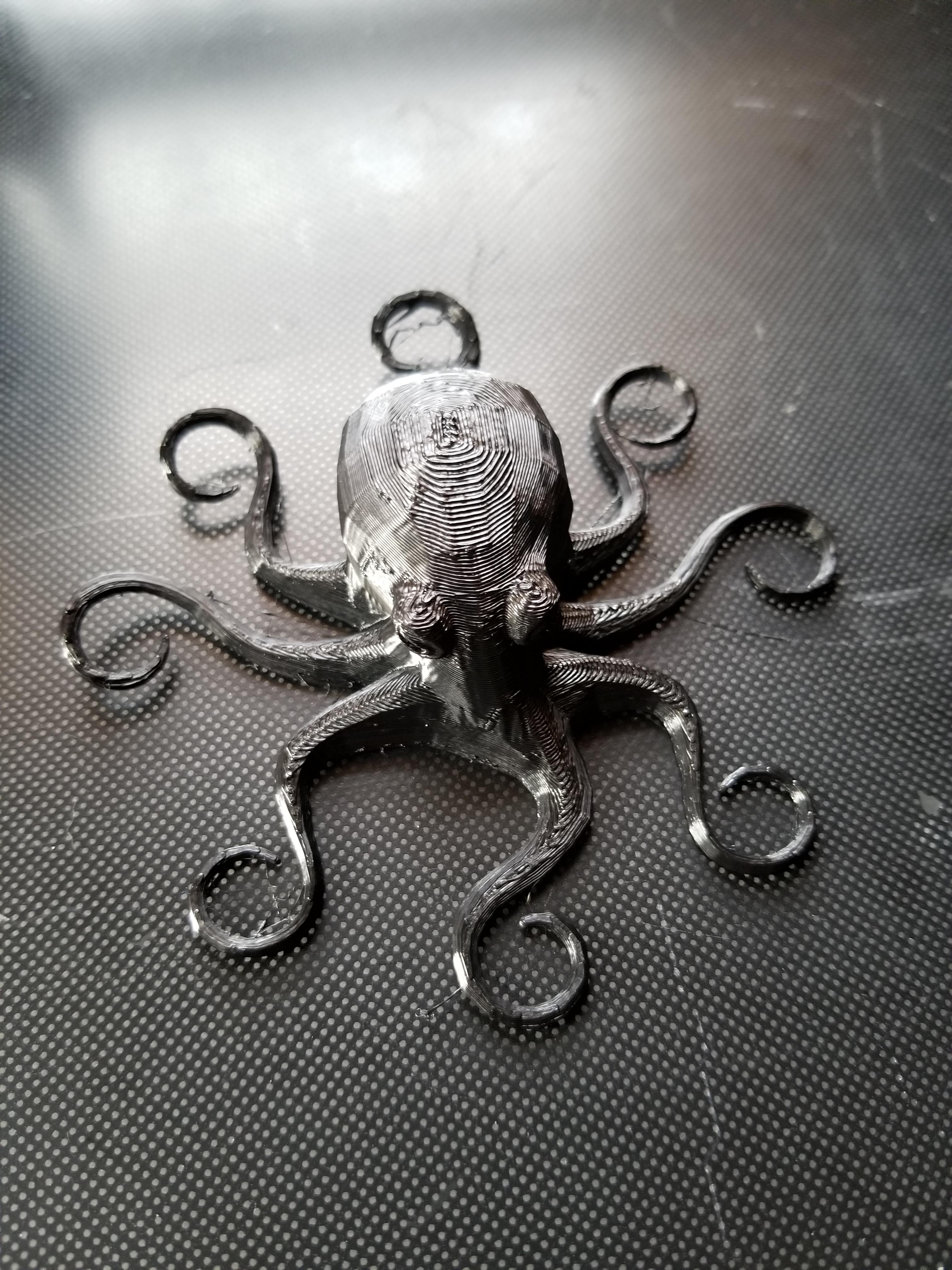 First try at tpu with my cr10. r/CR10