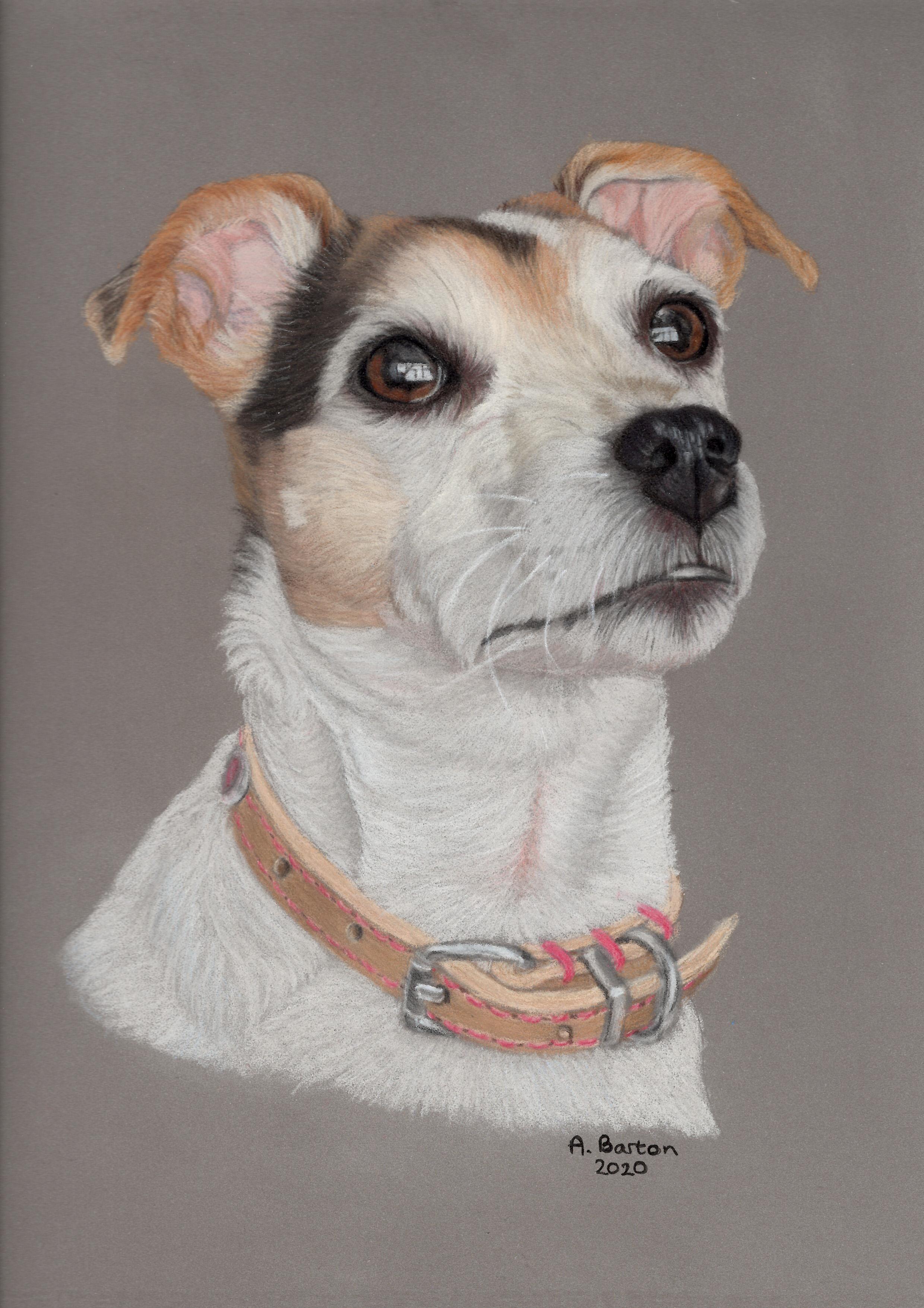 overview for abbib98