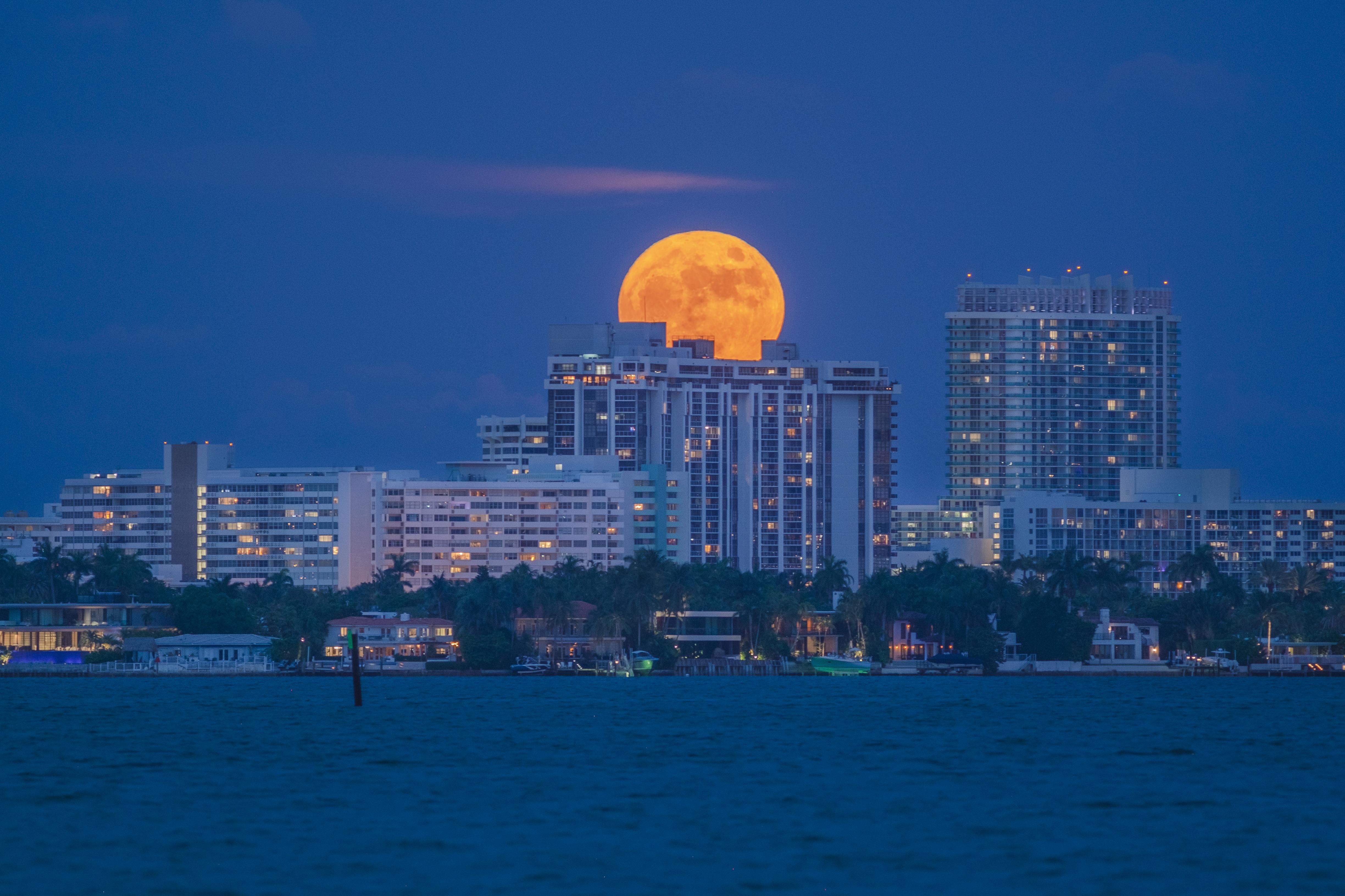 yesterdays full moon over south beach seen from midtown miami r/Miami