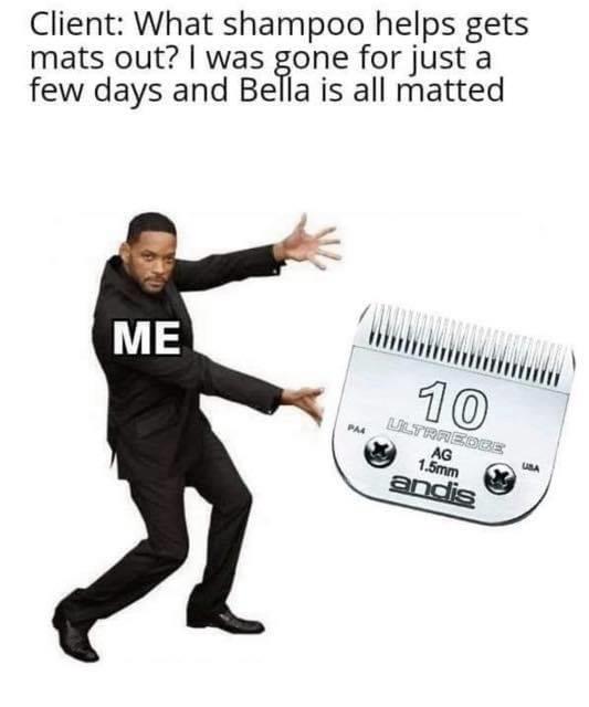 Applied as a Petsmart bather/groomer trainee doggrooming