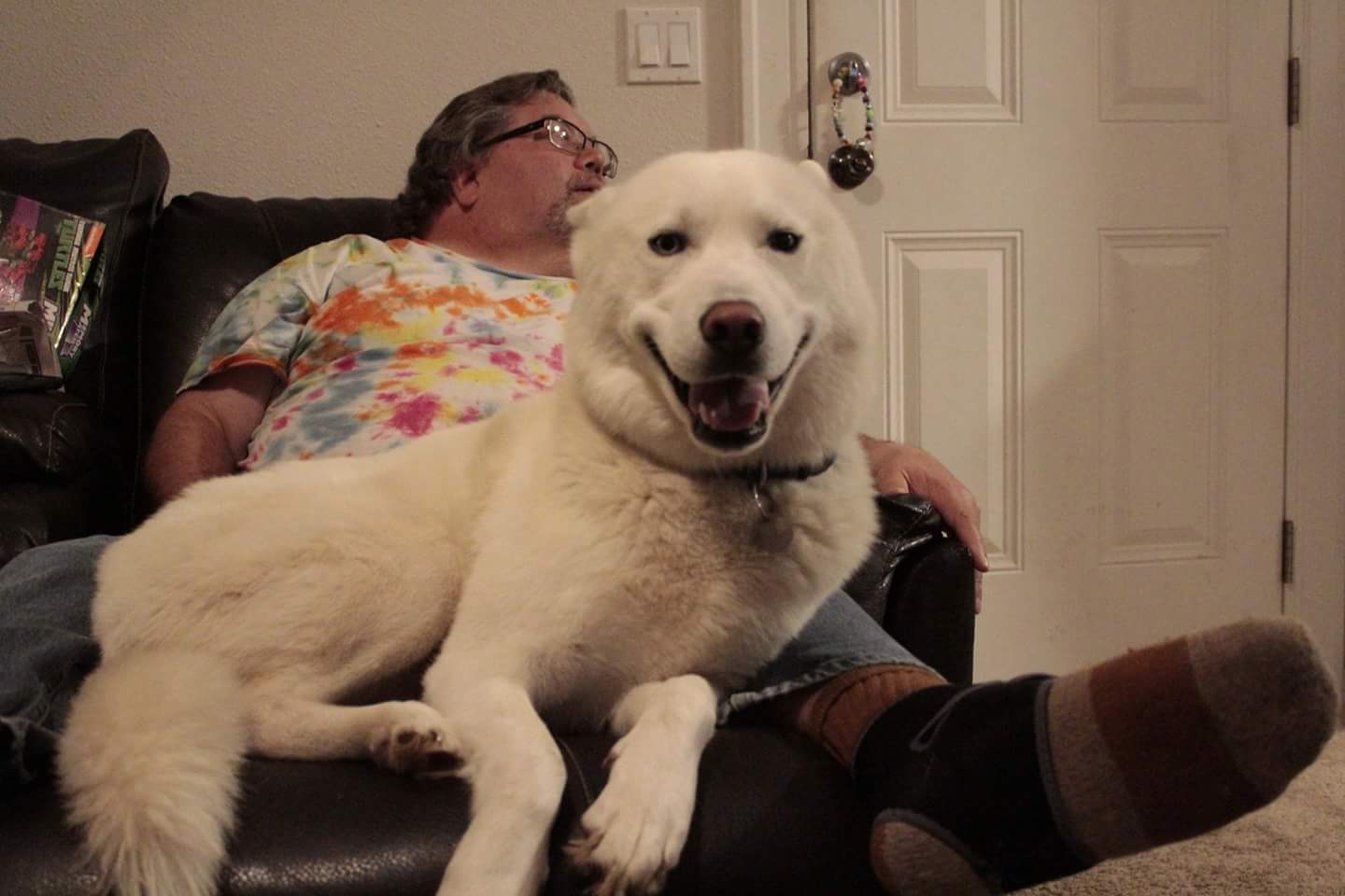 My husky has been super clingy to my parents since i left for college
