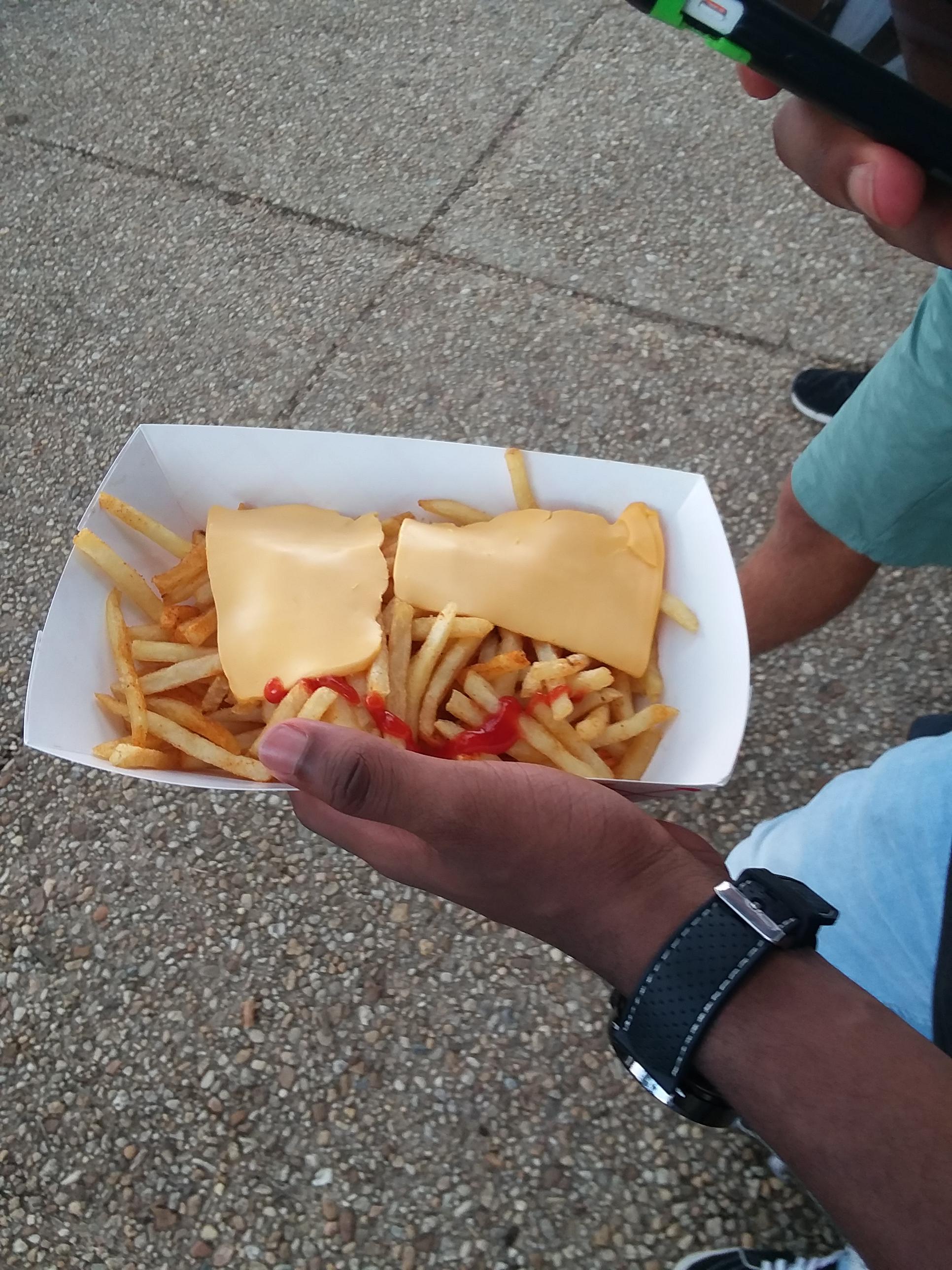 My friend's "cheese" fries in DC r/mildlyinfuriating