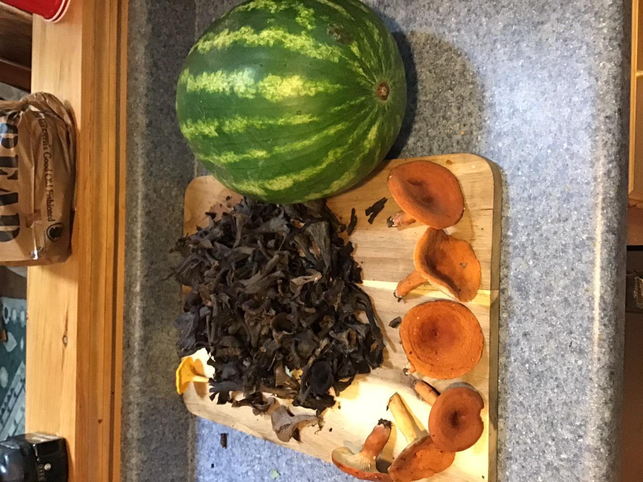 BlackTrumpet Haul, a single Chanterelle, and Volemus? Watermelon for