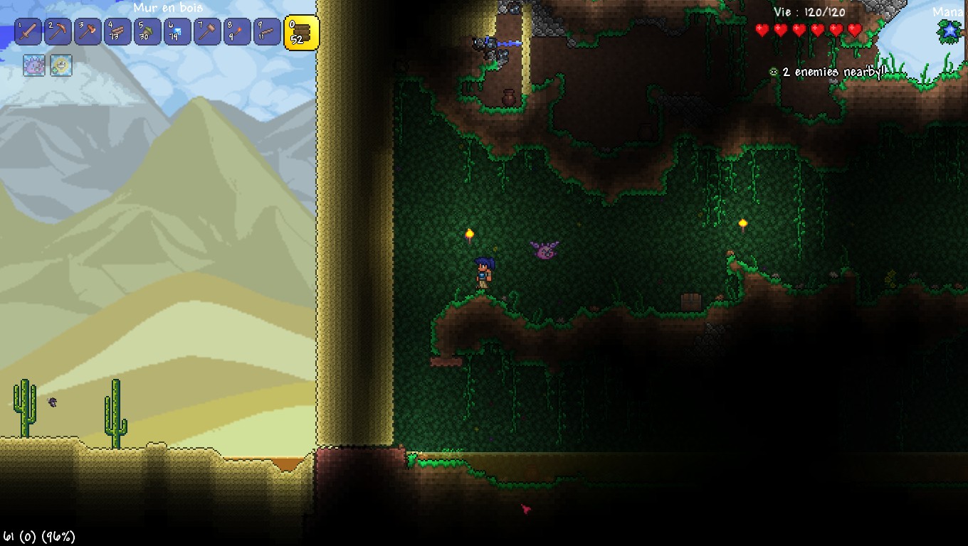 PC Some bugs in Terraria. White screen and low fps. Terraria