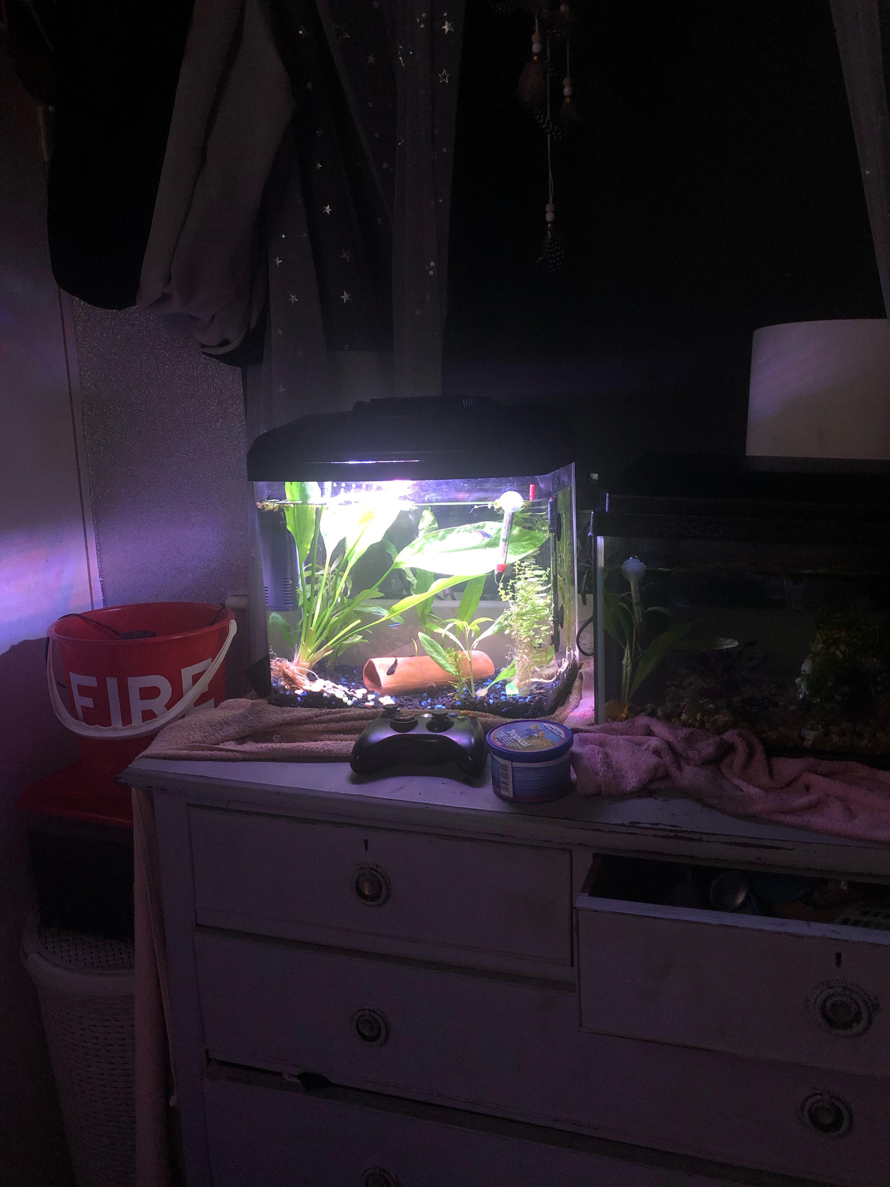 Hey guys! How do I grow my plants faster without c02? I’m trying to