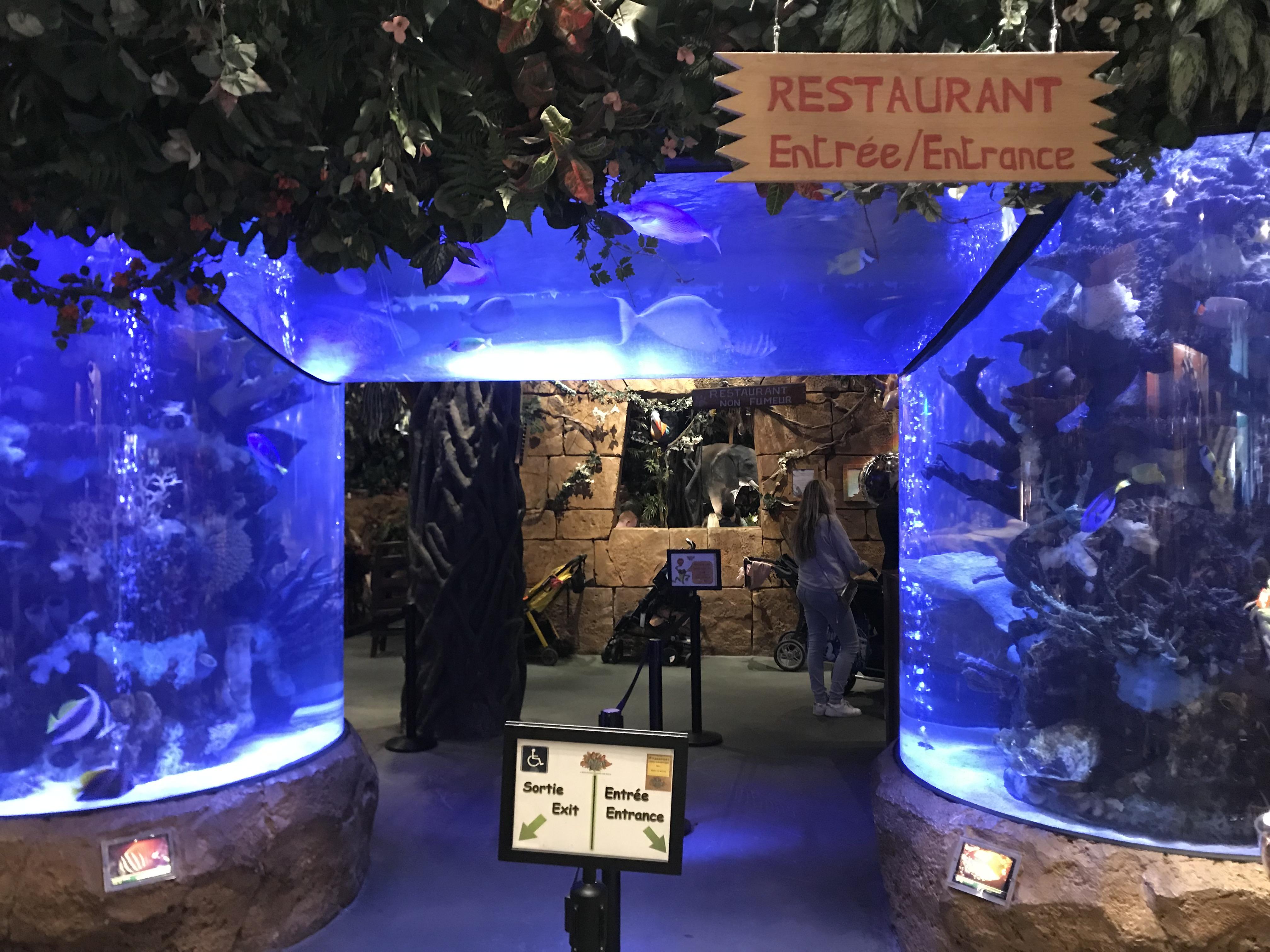 I took a picture of this beast of an aquarium in Disneyland Paris today