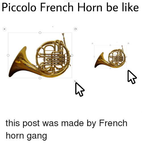 Piccolo French Horn r/lingling40hrs