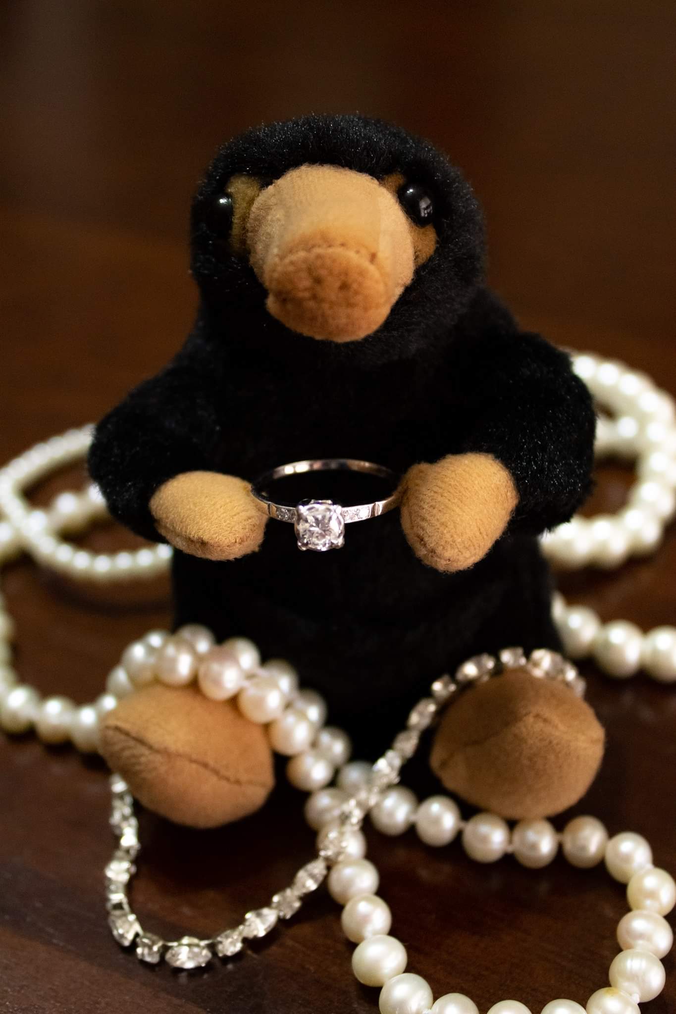 Got engaged yesterday and found a Niffler trying to steal my jewelry