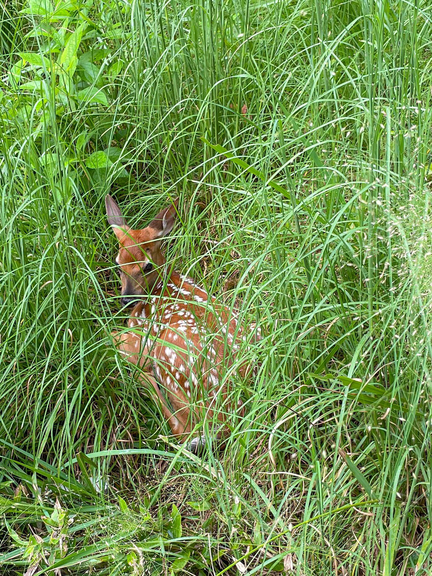 Just because we’ve taken the land, doesn’t mean others aren’t watching