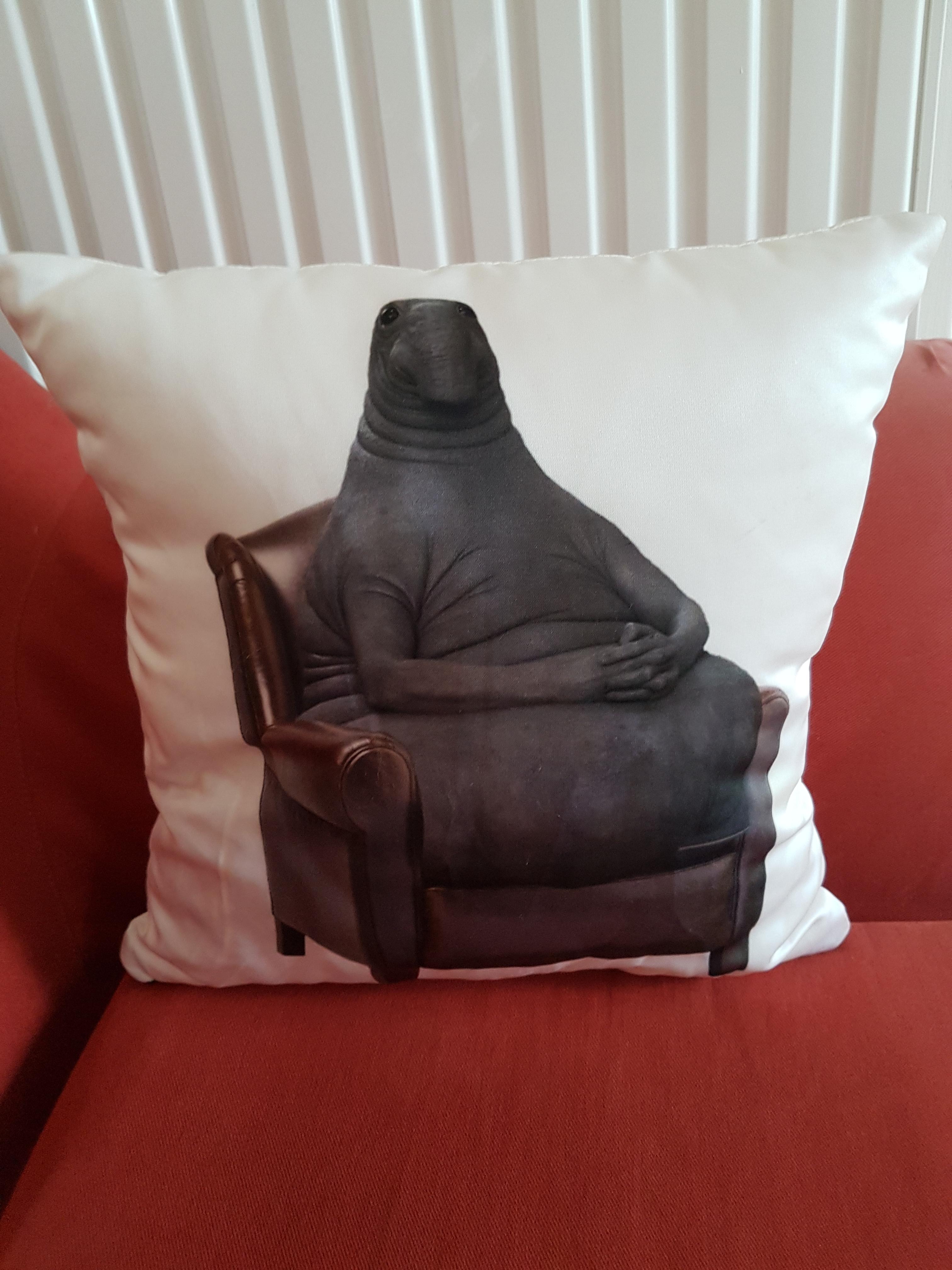 My new pillow r/WOSH