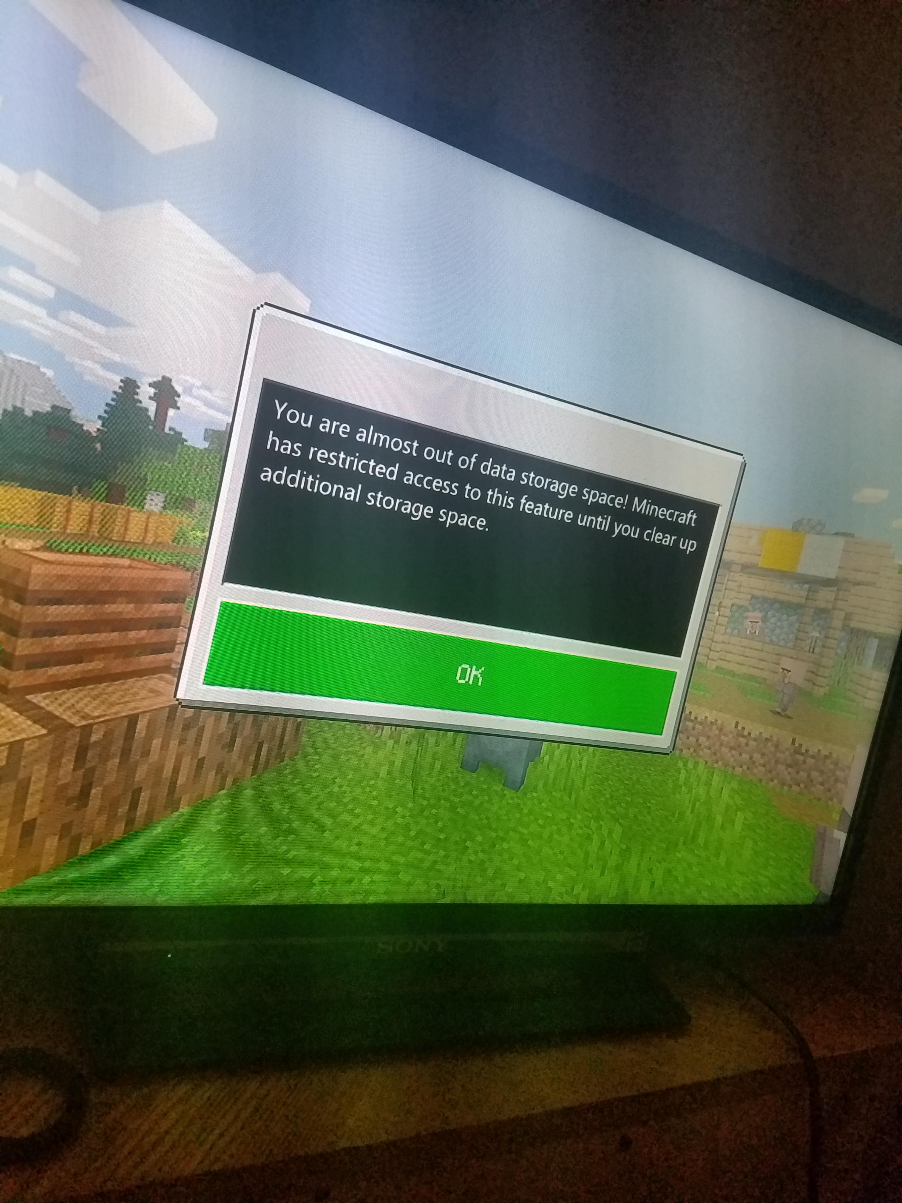 Mimecraft (Xbox One) won't let me do anything, does anybody have a