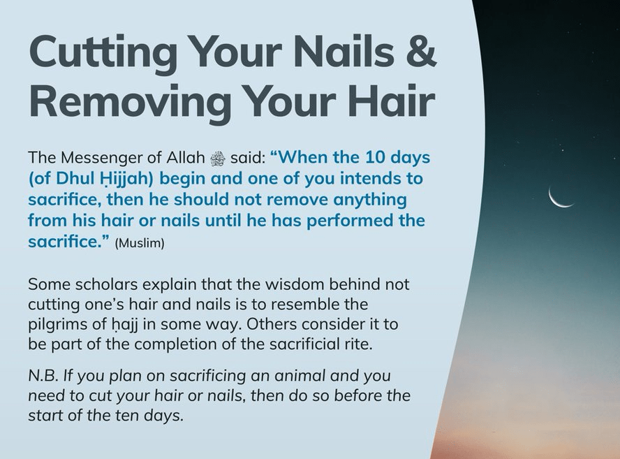 Cutting Your Nails and Hair r/Islam_and_Muslims