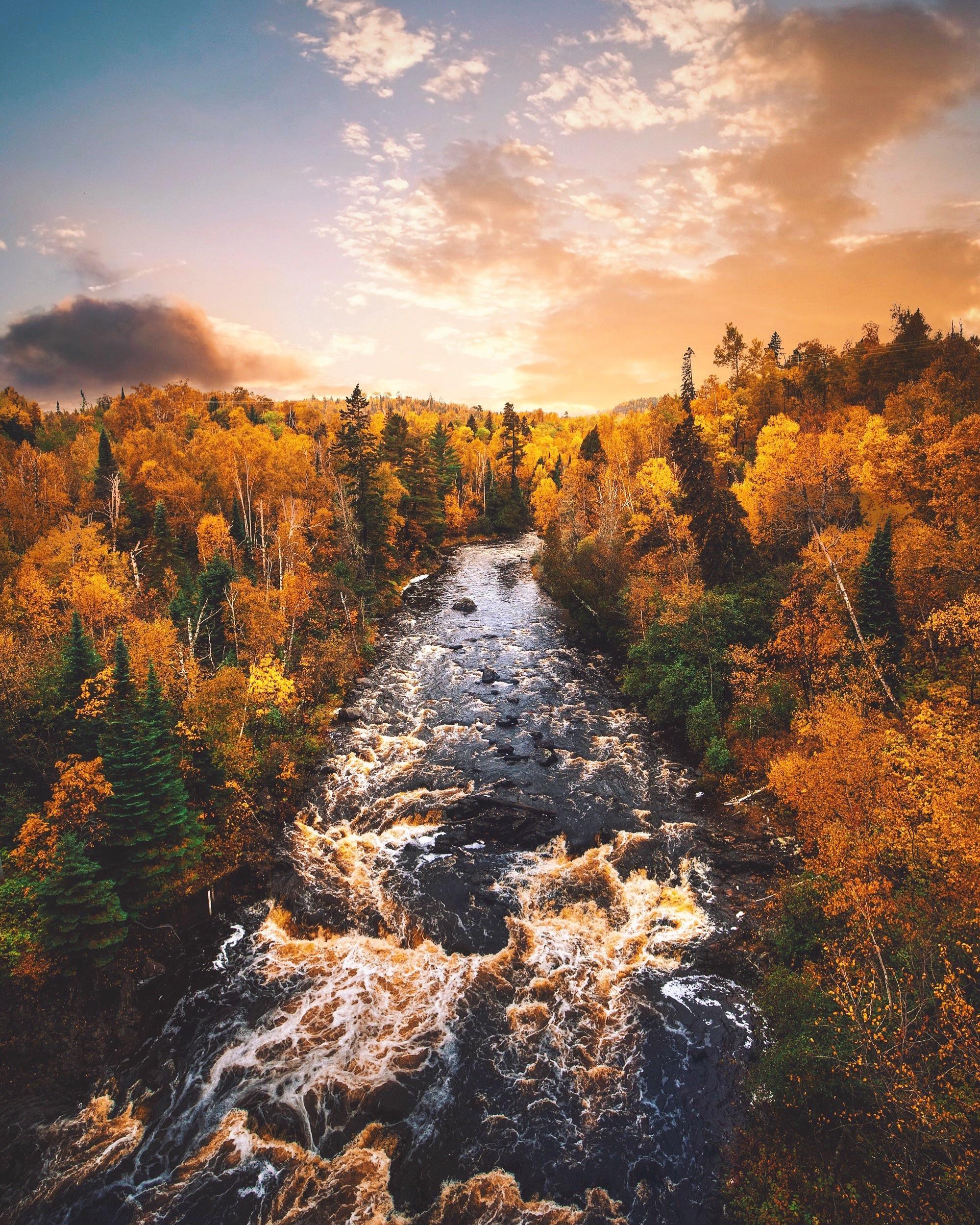 A golden river in Autumn! Silver Bay, Minnesota. [2000x2500][OC