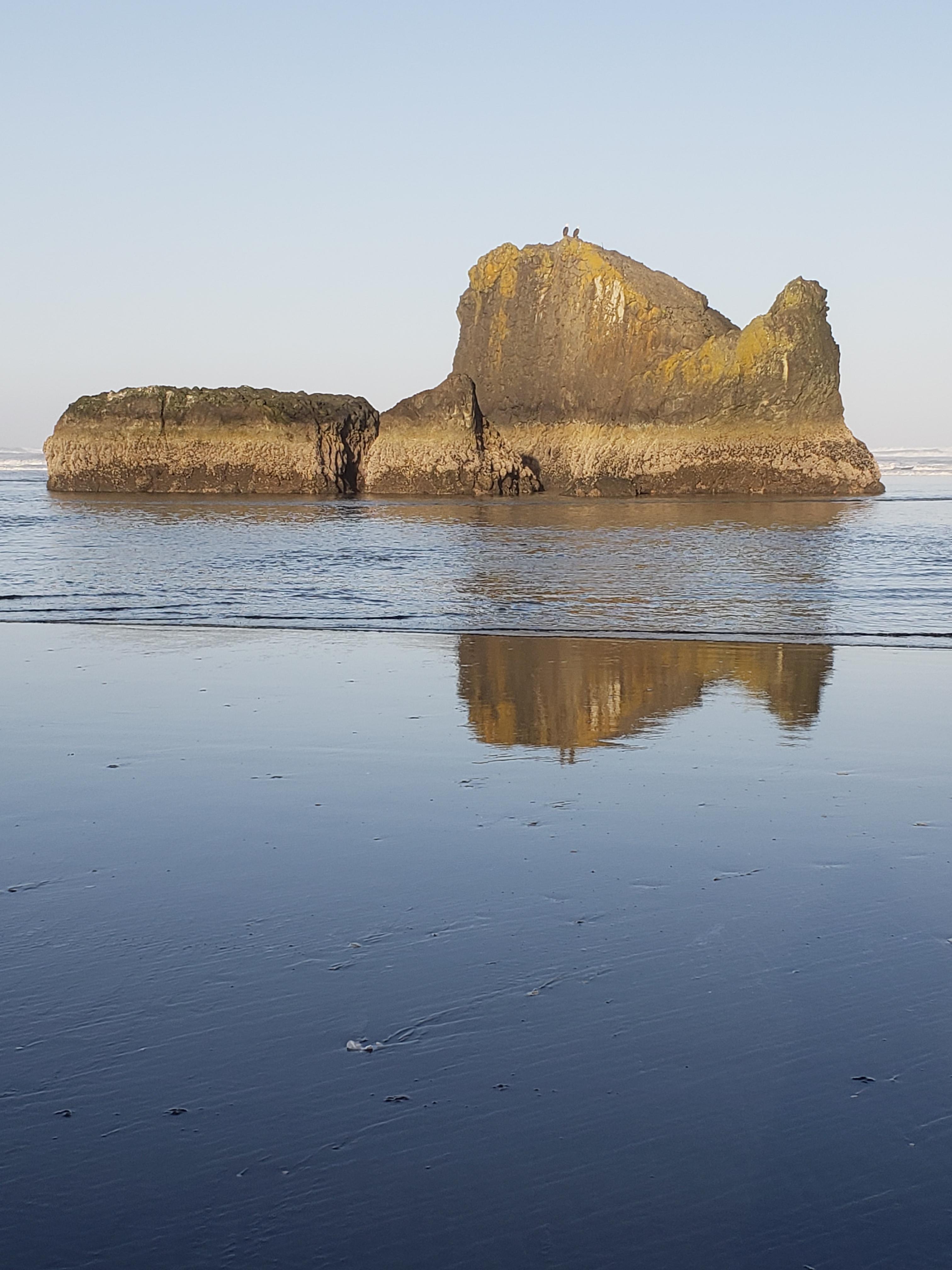 Copalis beach Washington. I took this pic on my morning beach walk. Oc