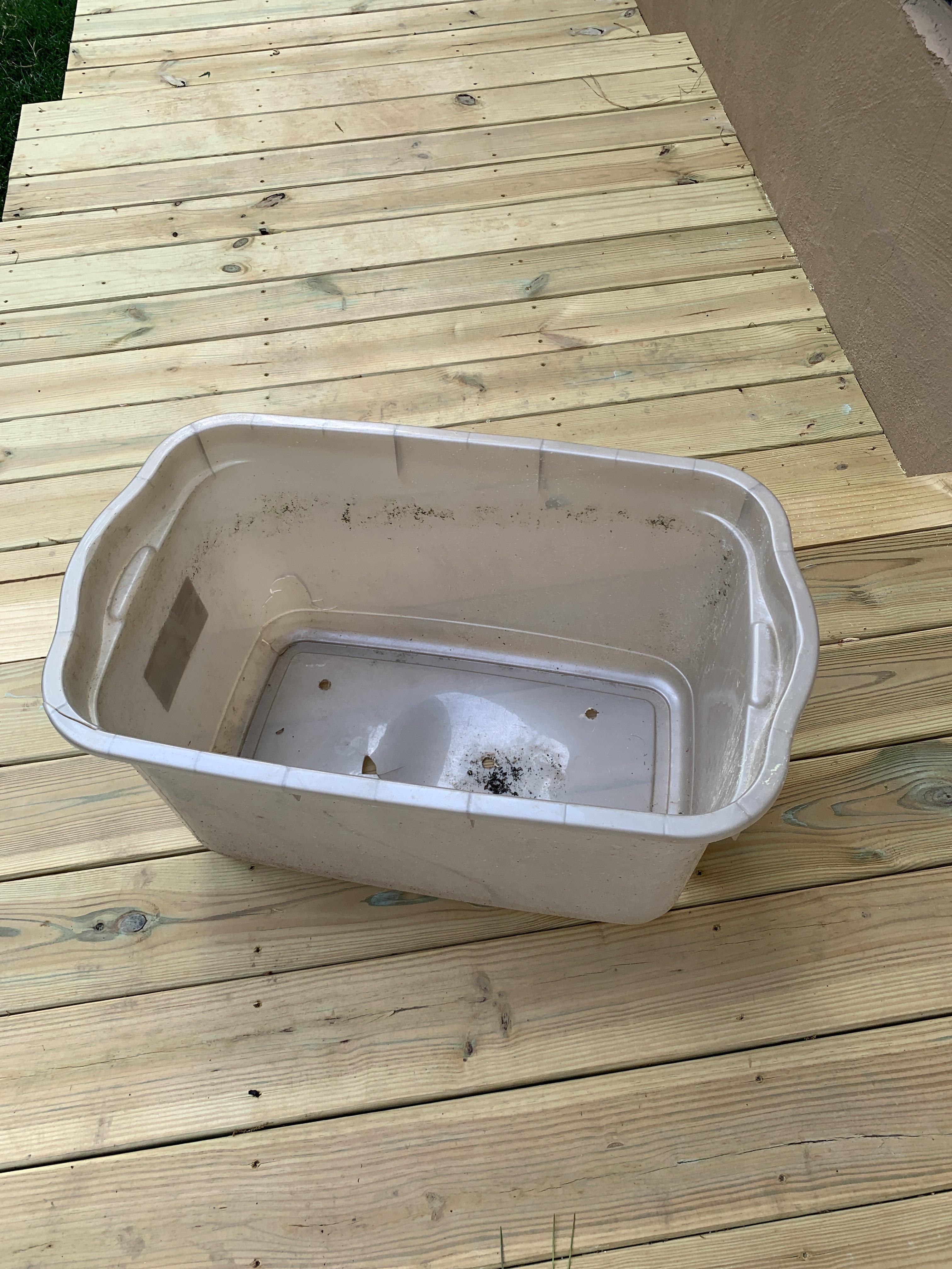 I here have a 16.5 gallon bucket, how many corn plants could I stick in