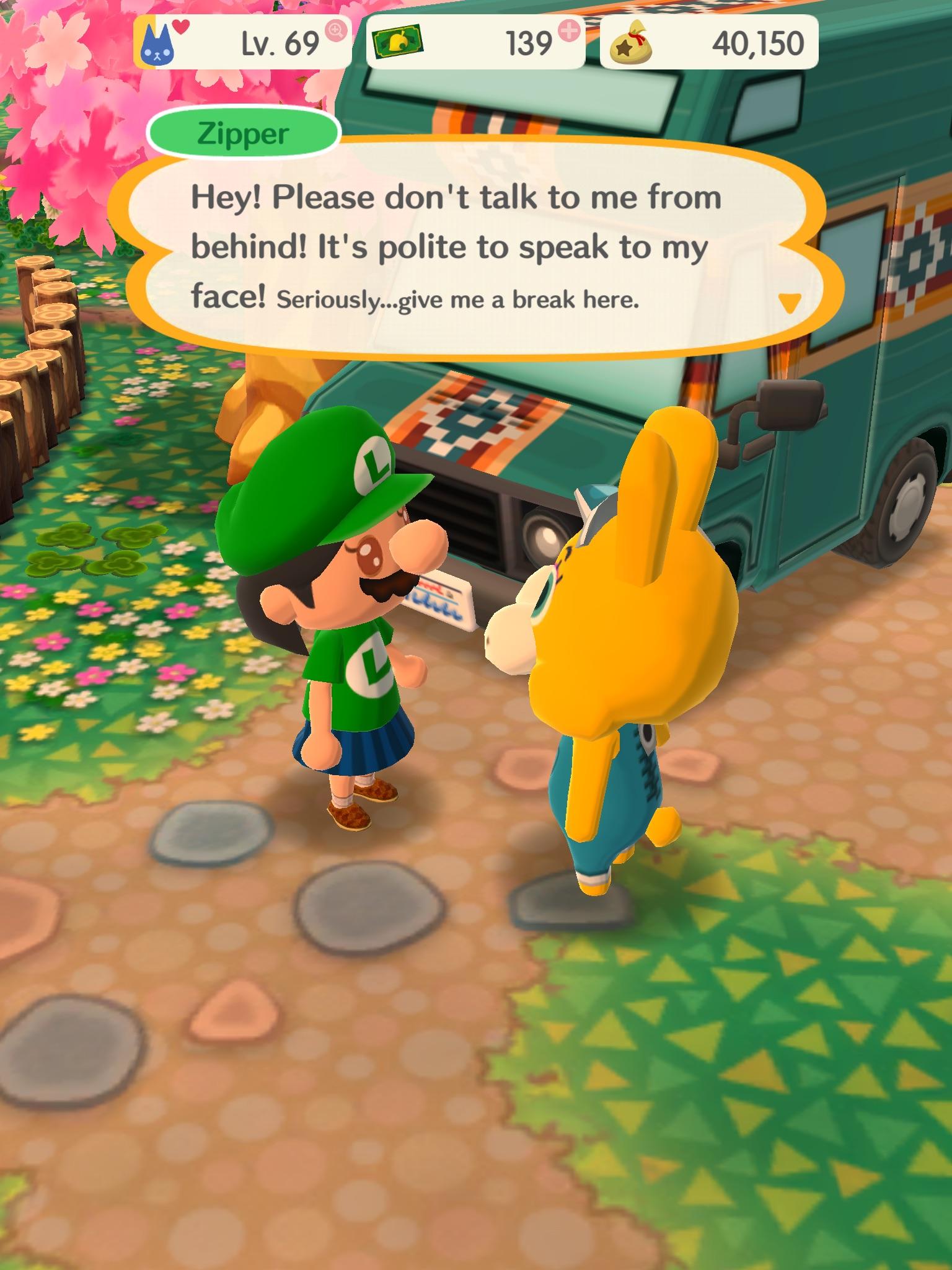 Whether I look at Zipper’s back, he will tell me to not talk to him at