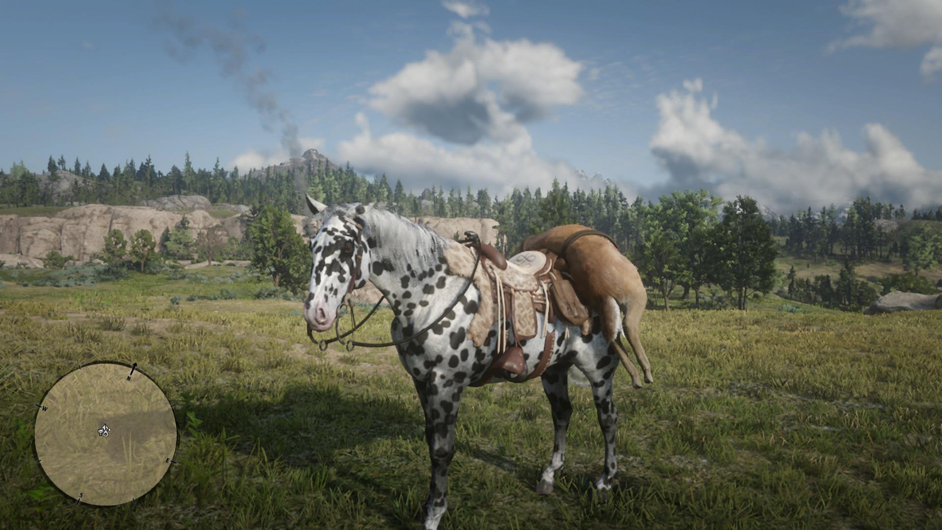 Love my leopard Appaloosa r/reddeadredemption2